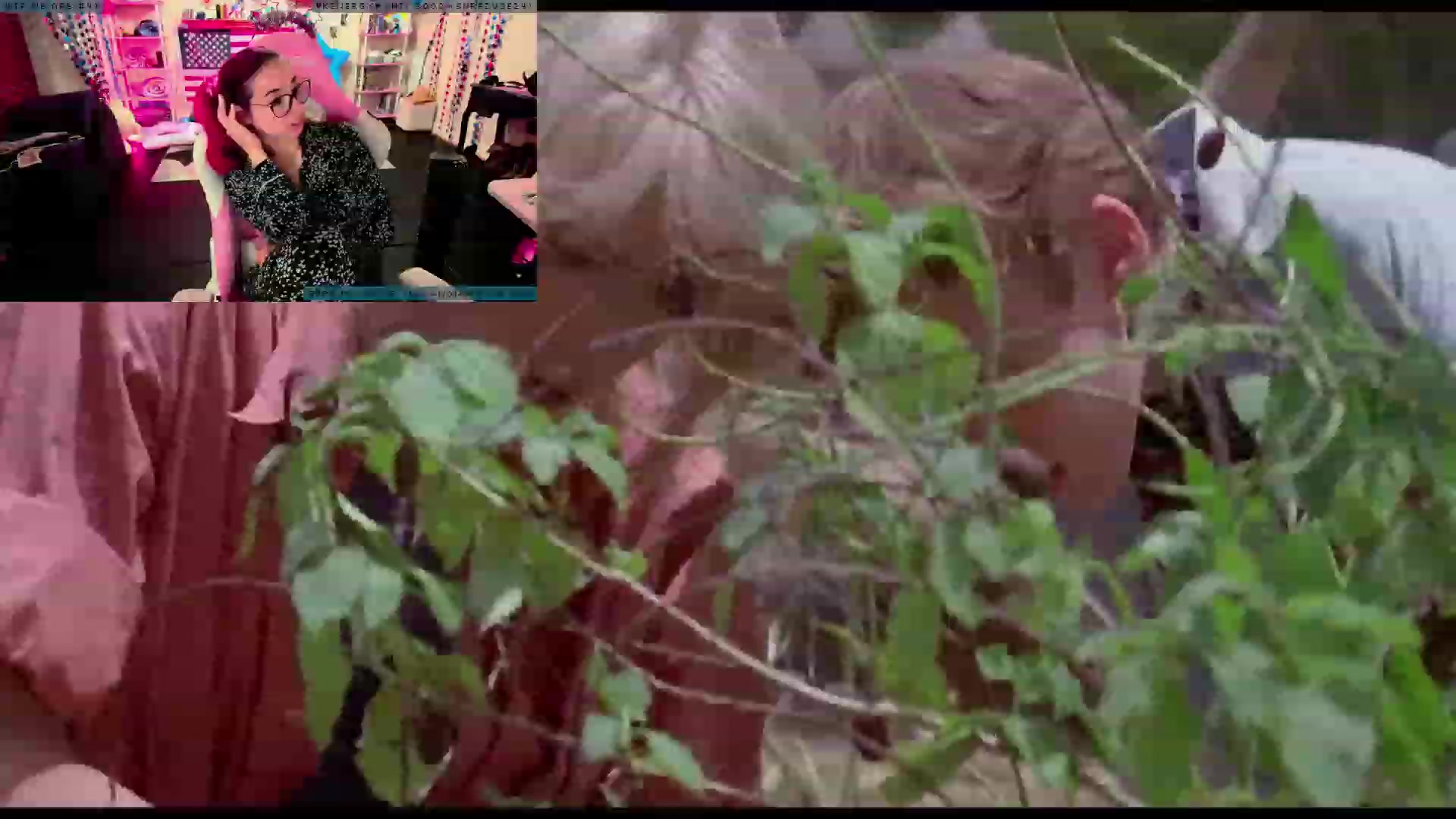 Gallery image thumbnail from JessWhitmore's myfreecams stream on, 07/24/2023, 06:40 image 20 of 20