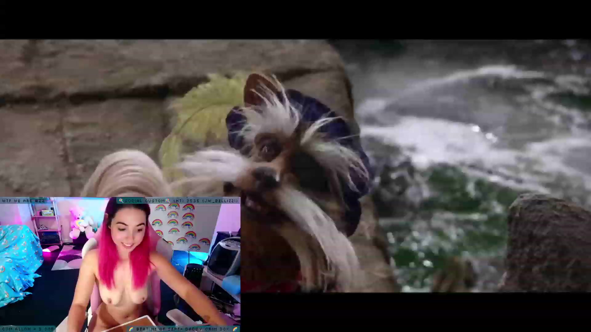 Gallery image thumbnail from JessWhitmore's myfreecams stream on, 10/01/2023, 06:27 image 6 of 20