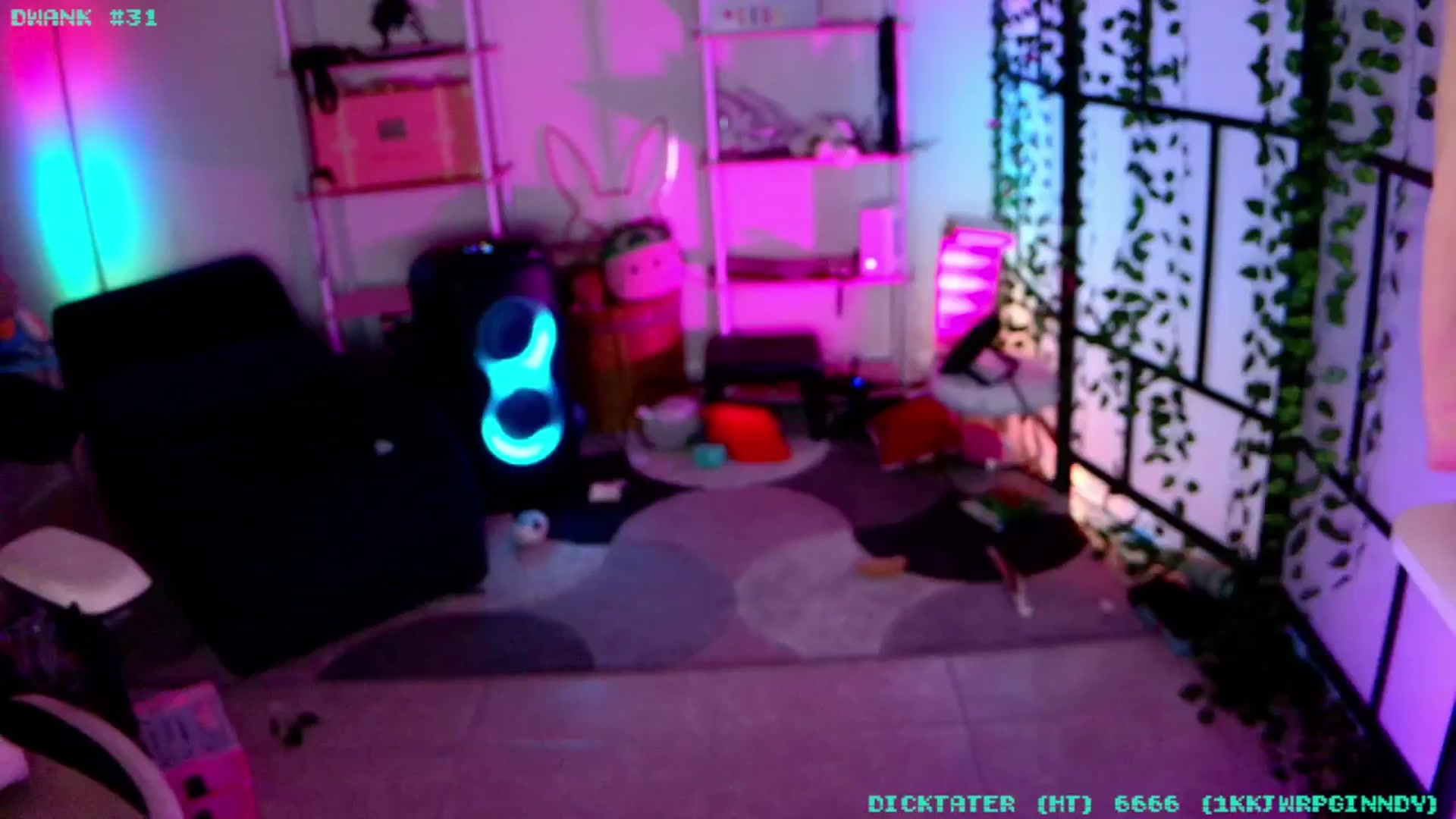 Gallery image thumbnail from JessWhitmore's myfreecams stream on, 02/08/2026, 05:27 image 19 of 20