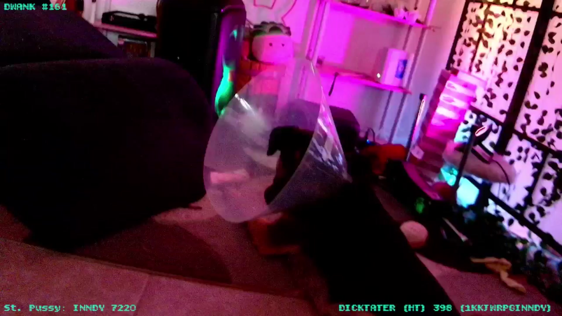 Gallery image thumbnail from JessWhitmore's myfreecams stream on, 03/06/2026, 05:49 image 3 of 20