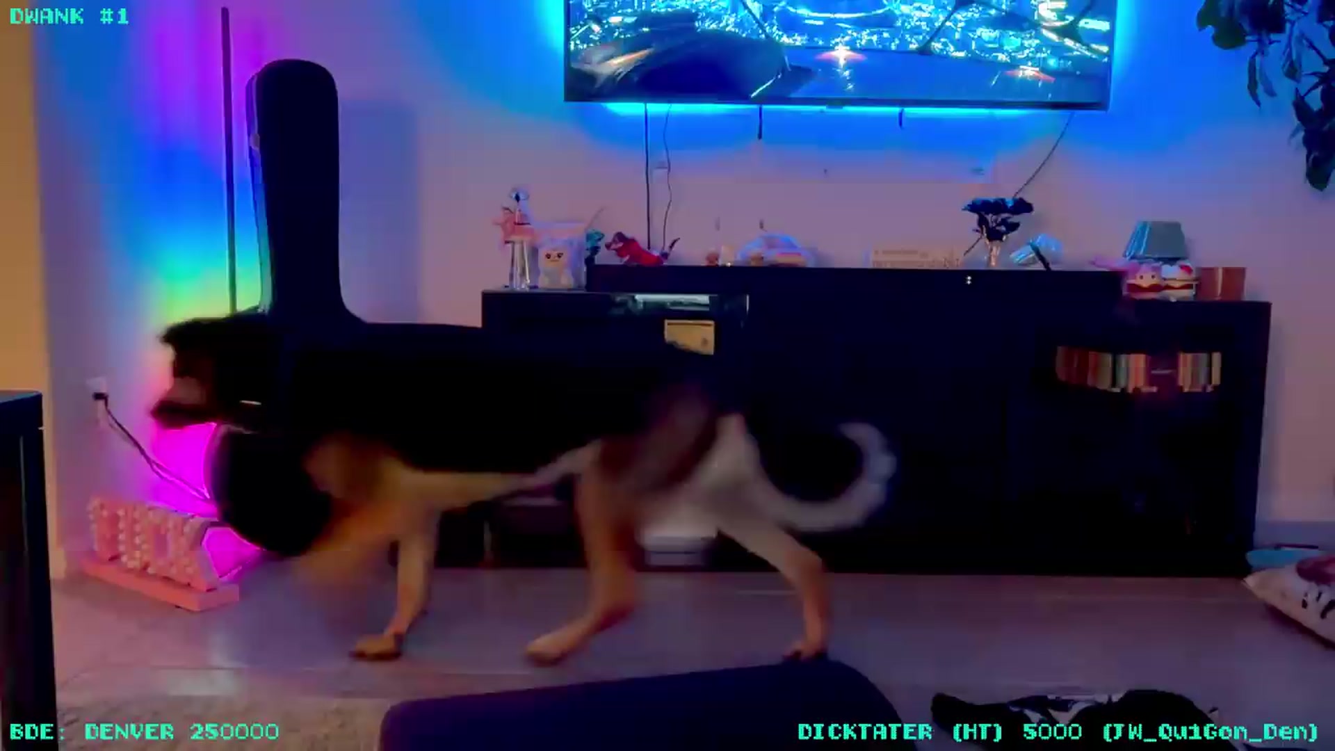 Gallery image thumbnail from JessWhitmore's myfreecams stream on, 05/13/2026, 06:07 image 2 of 20