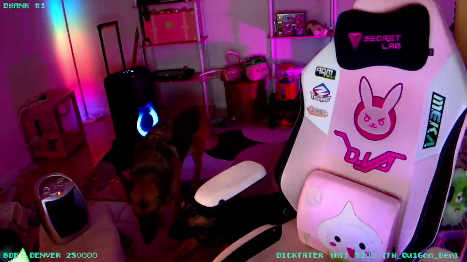 Gallery image thumbnail from JessWhitmore's myfreecams stream on, 05/15/2026, 06:54 image 12 of 20
