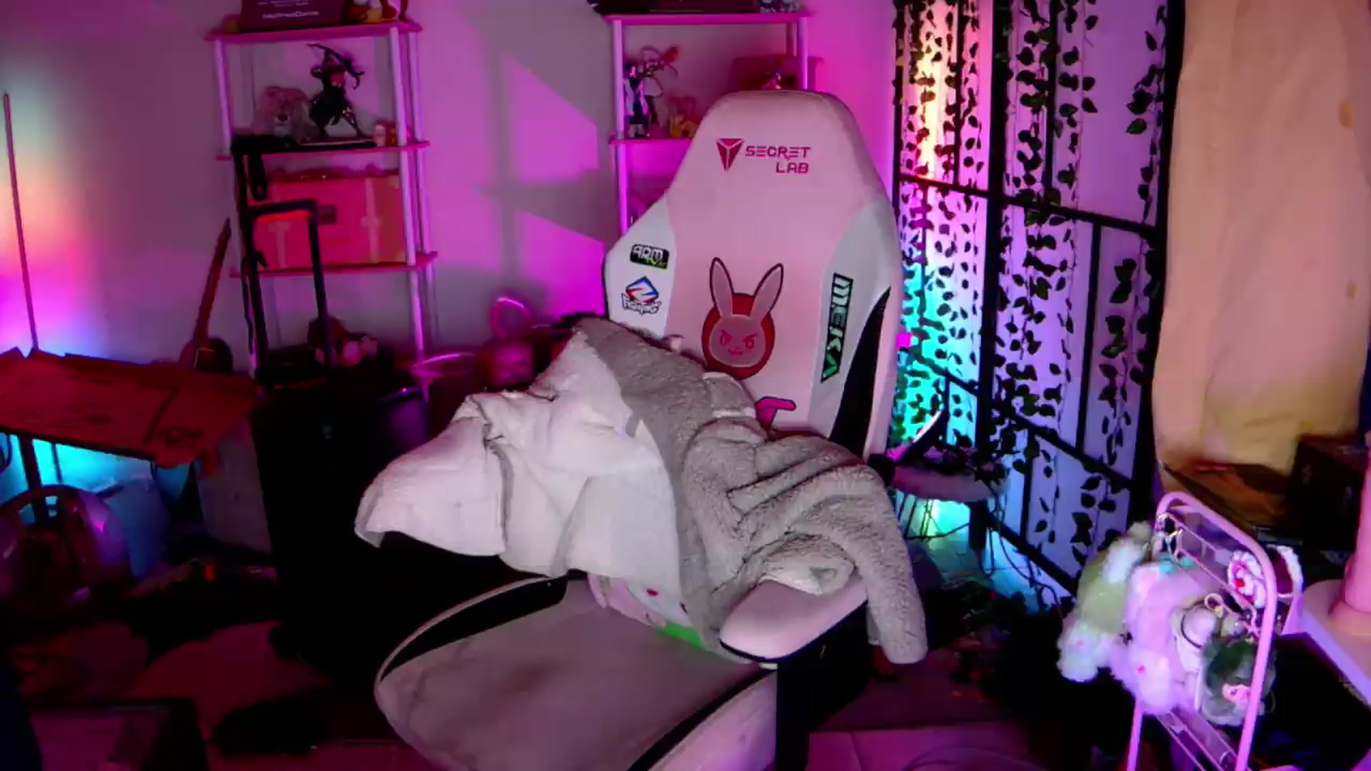 Gallery image thumbnail from JessWhitmore's myfreecams stream on, 06/01/2026, 06:29 image 1 of 20