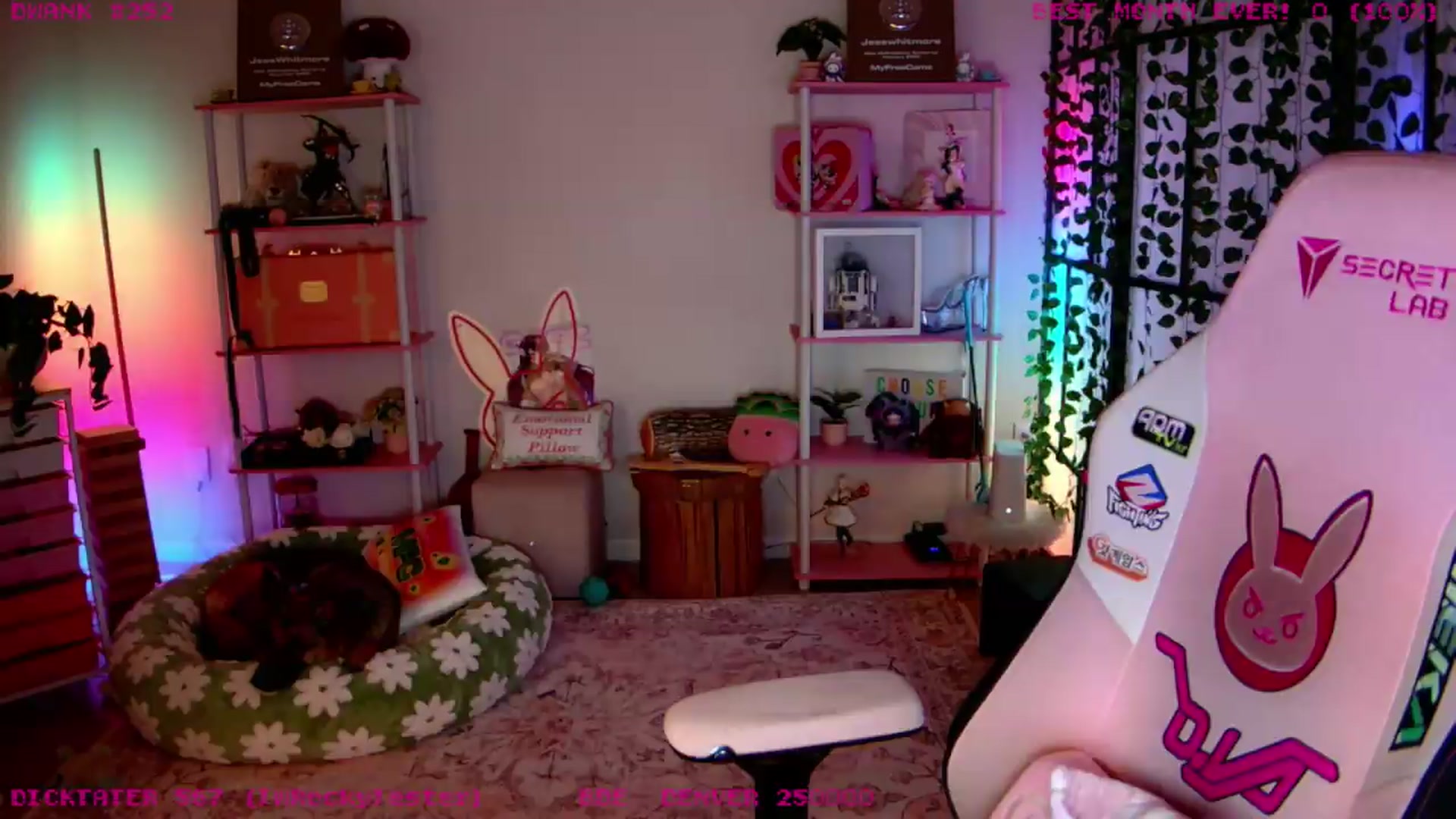 Gallery image thumbnail from JessWhitmore's myfreecams stream on, 07/05/2026, 05:02 image 12 of 20