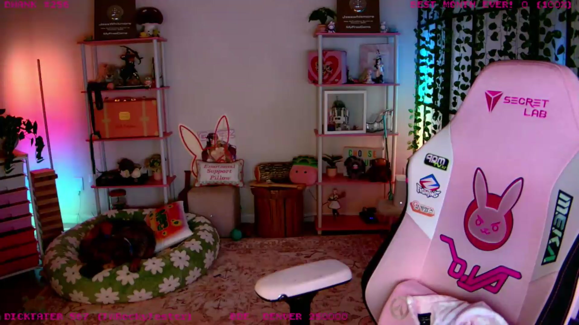 Gallery image thumbnail from JessWhitmore's myfreecams stream on, 07/05/2026, 05:02 image 17 of 20