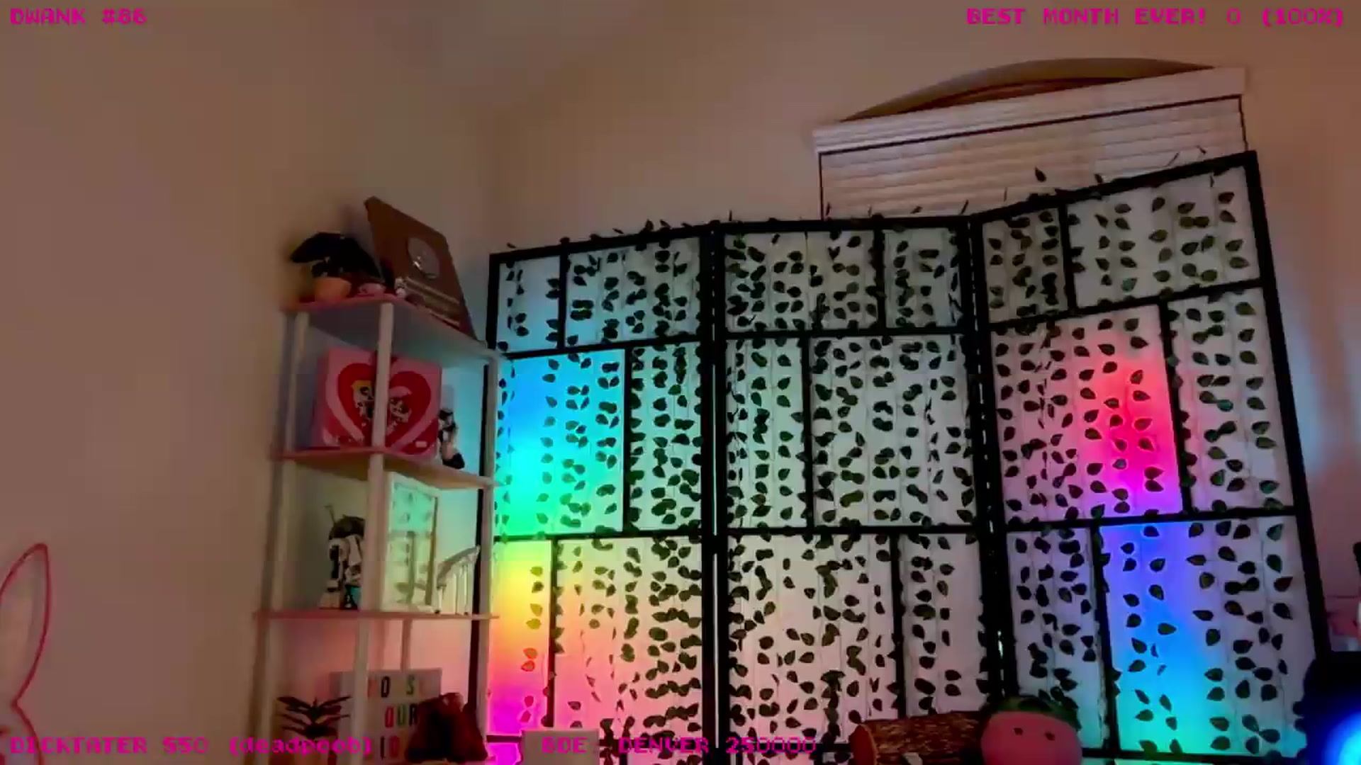 Gallery image thumbnail from JessWhitmore's myfreecams stream on, 08/01/2026, 10:25 image 8 of 20