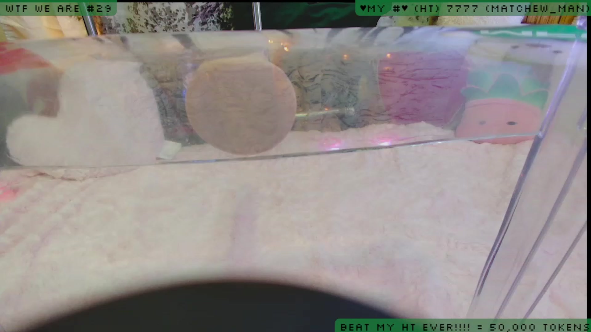 Gallery image thumbnail from JessWhitmore_'s myfreecams stream on, 02/03/2023, 07:47 image 1 of 20