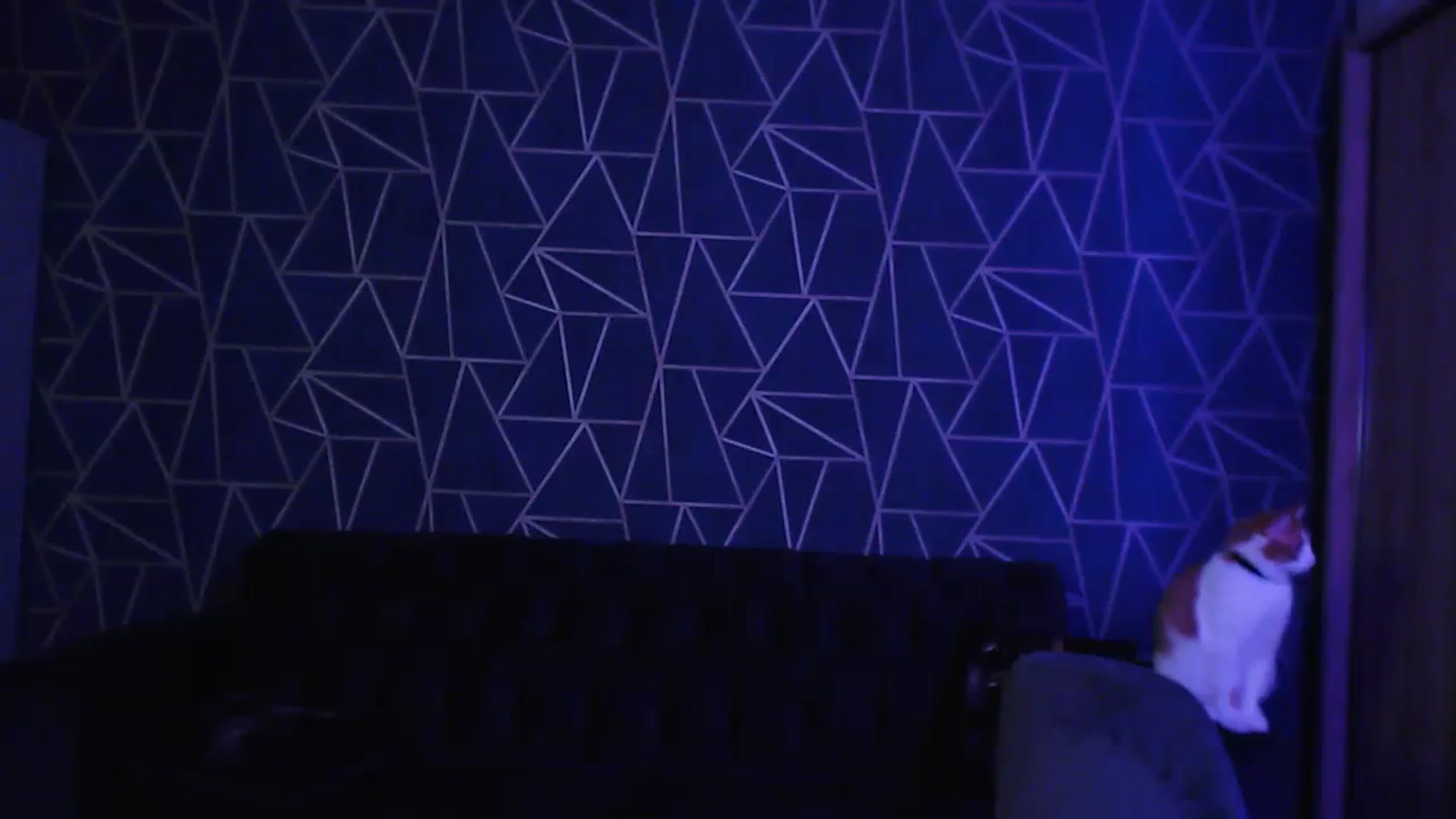 Gallery image thumbnail from Jess_peach's myfreecams stream on, 08/03/2023, 23:09 image 13 of 20