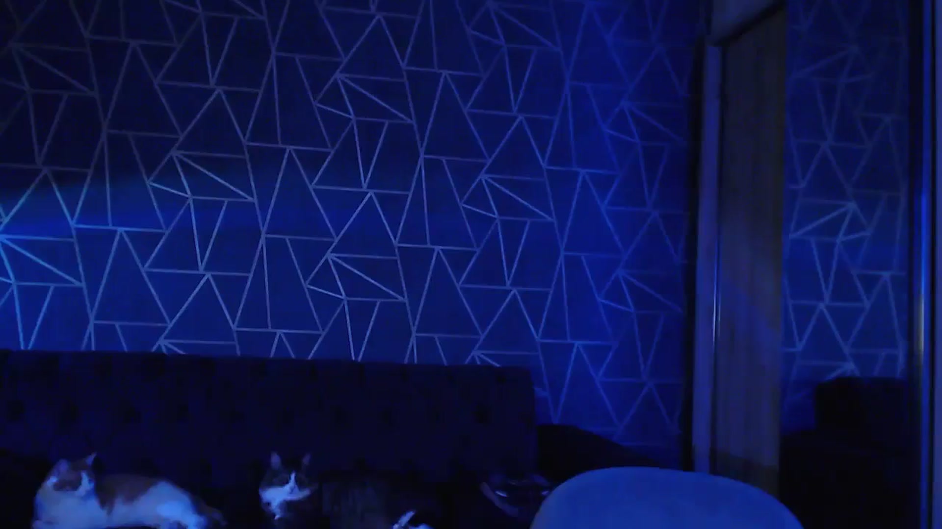 Gallery image thumbnail from Jess_peach's myfreecams stream on, 08/05/2023, 22:54 image 15 of 20