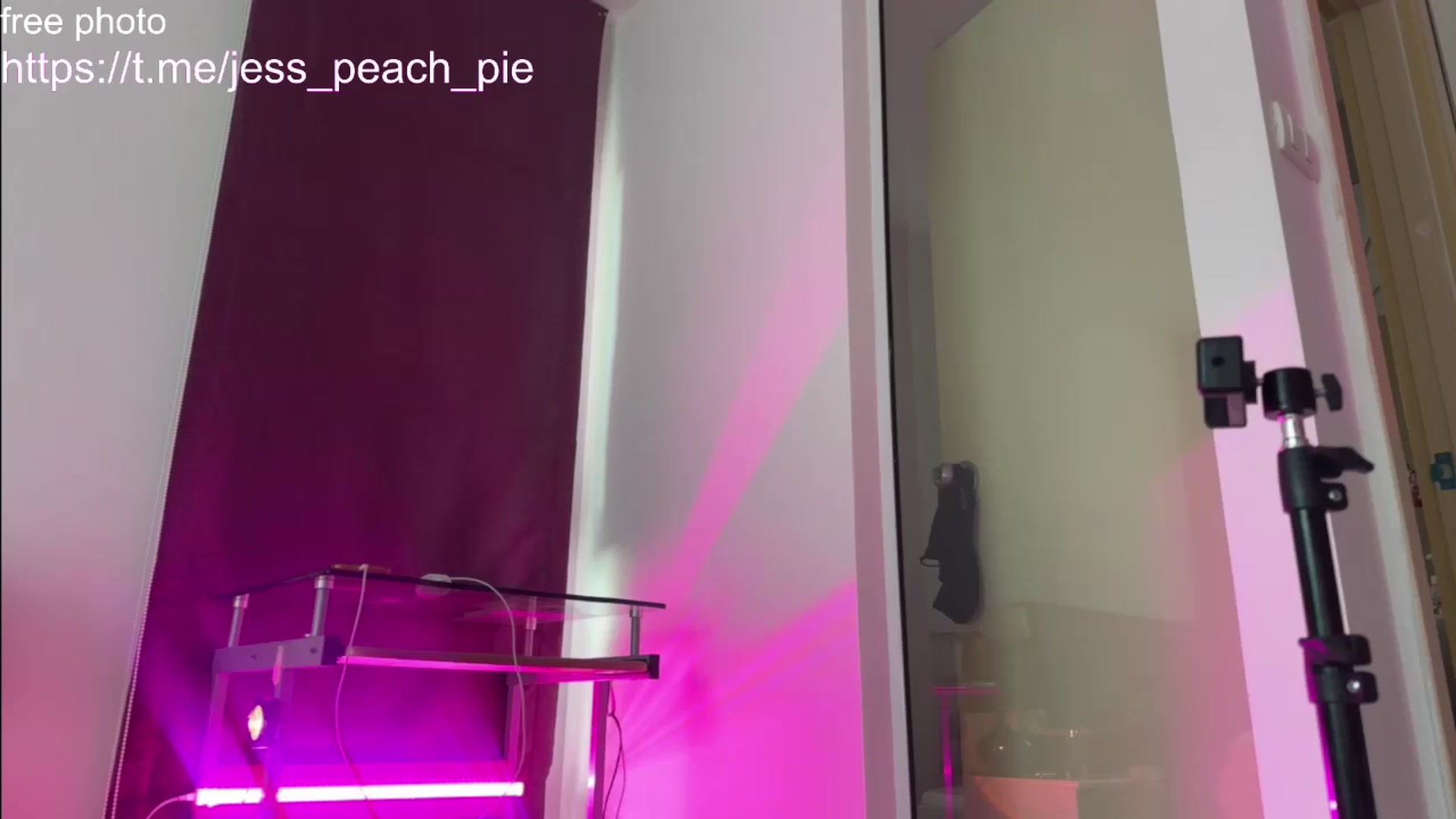 Gallery image thumbnail from Jess_peach's myfreecams stream on, 07/30/2024, 11:55 image 5 of 20