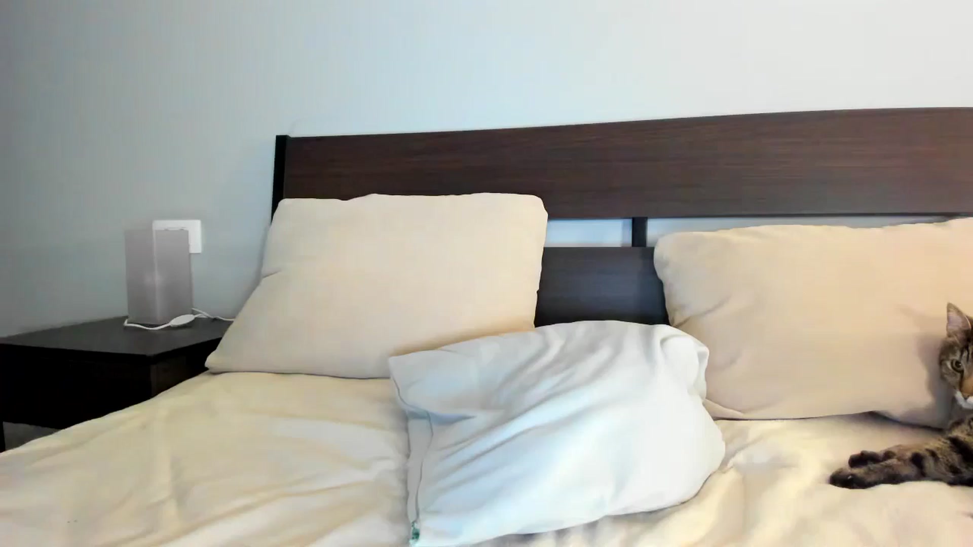 Gallery image thumbnail from JesseJane's myfreecams stream on, 04/26/2024, 21:34 image 9 of 20