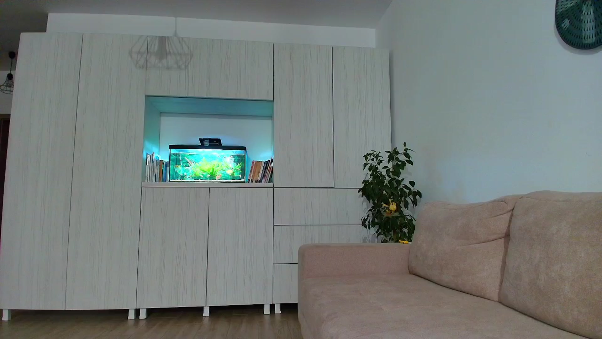 Gallery image thumbnail from JessicaAddams's myfreecams stream on, 12/09/2025, 23:33 image 3 of 20