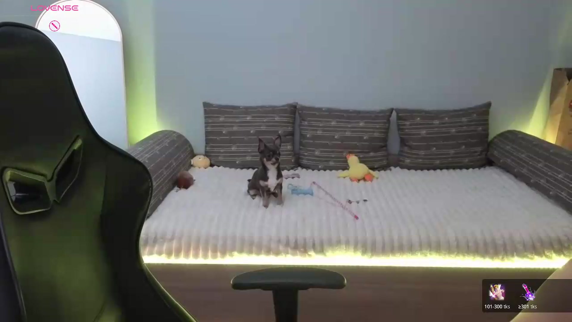 Gallery image thumbnail from JessicaB's myfreecams stream on, 06/02/2026, 19:14 image 3 of 20