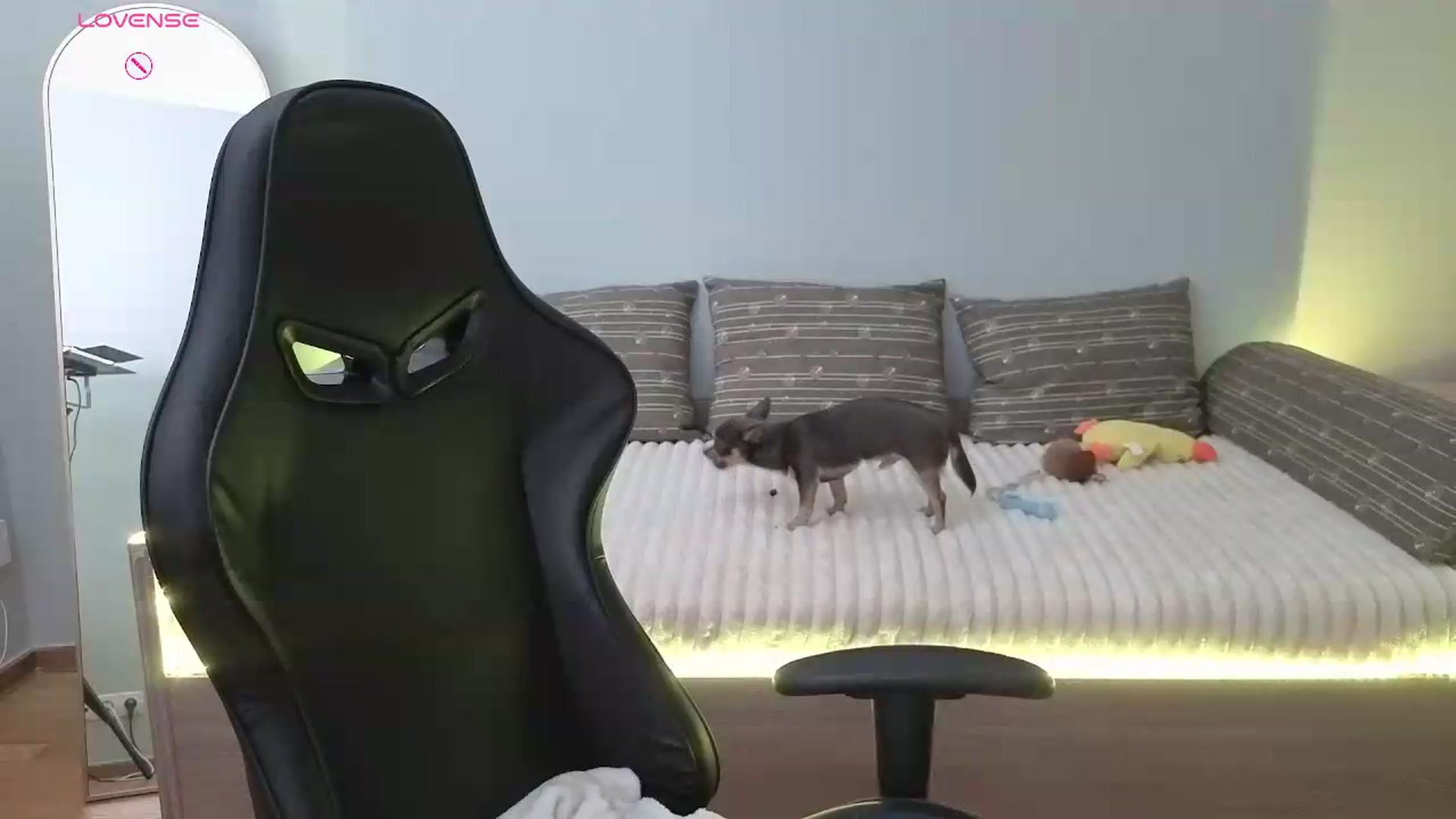 Gallery image thumbnail from JessicaB's myfreecams stream on, 07/07/2026, 15:40 image 3 of 20