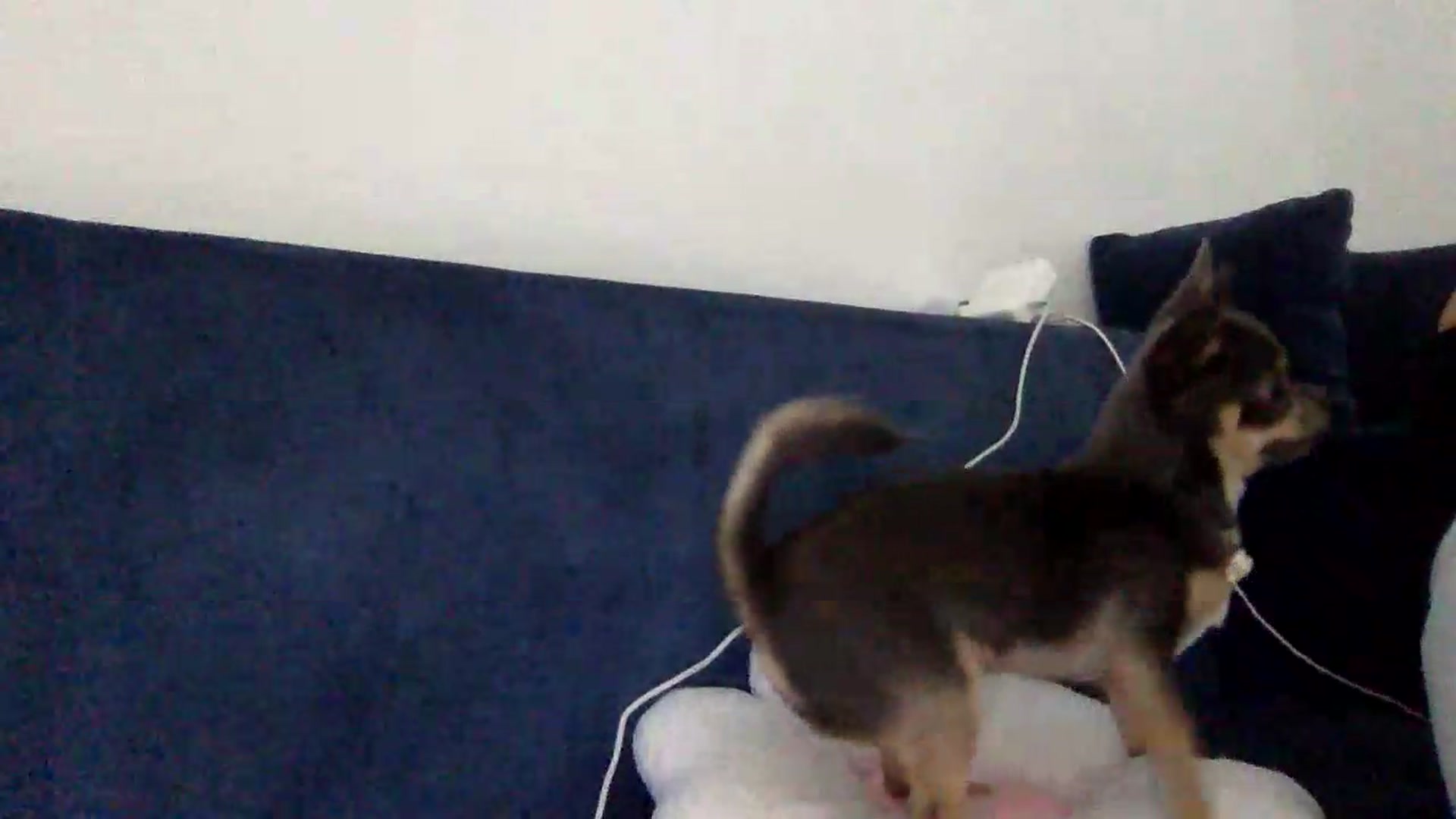 Gallery image thumbnail from JessicaB's myfreecams stream on, 08/14/2026, 17:02 image 3 of 20