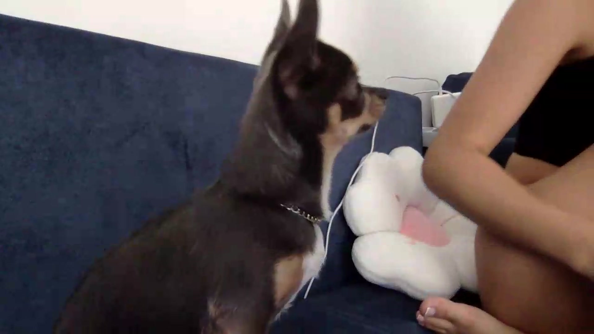 Gallery image thumbnail from JessicaB's myfreecams stream on, 08/28/2026, 16:05 image 6 of 20