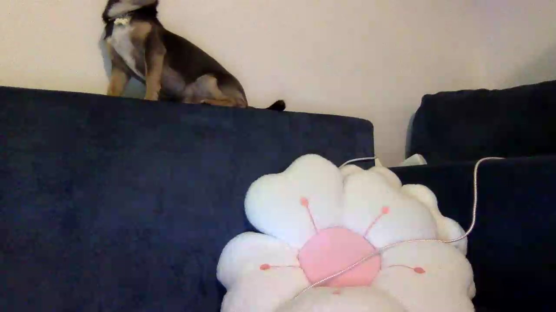 Gallery image thumbnail from JessicaB's myfreecams stream on, 08/31/2026, 17:06 image 14 of 20