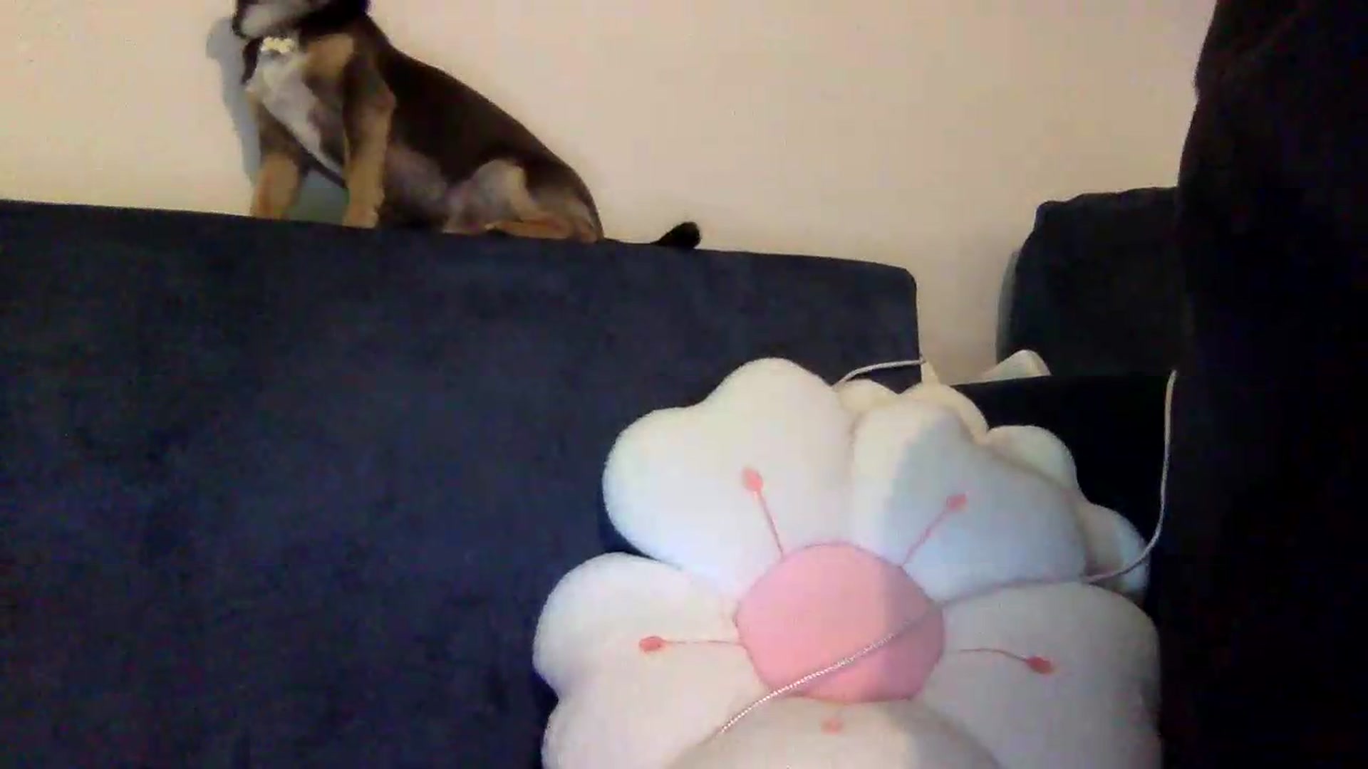 Gallery image thumbnail from JessicaB's myfreecams stream on, 08/31/2026, 17:06 image 15 of 20