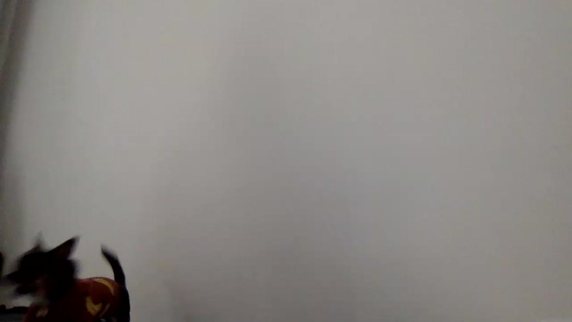 Gallery image thumbnail from JessicaB's myfreecams stream on, 09/07/2026, 15:05 image 12 of 20