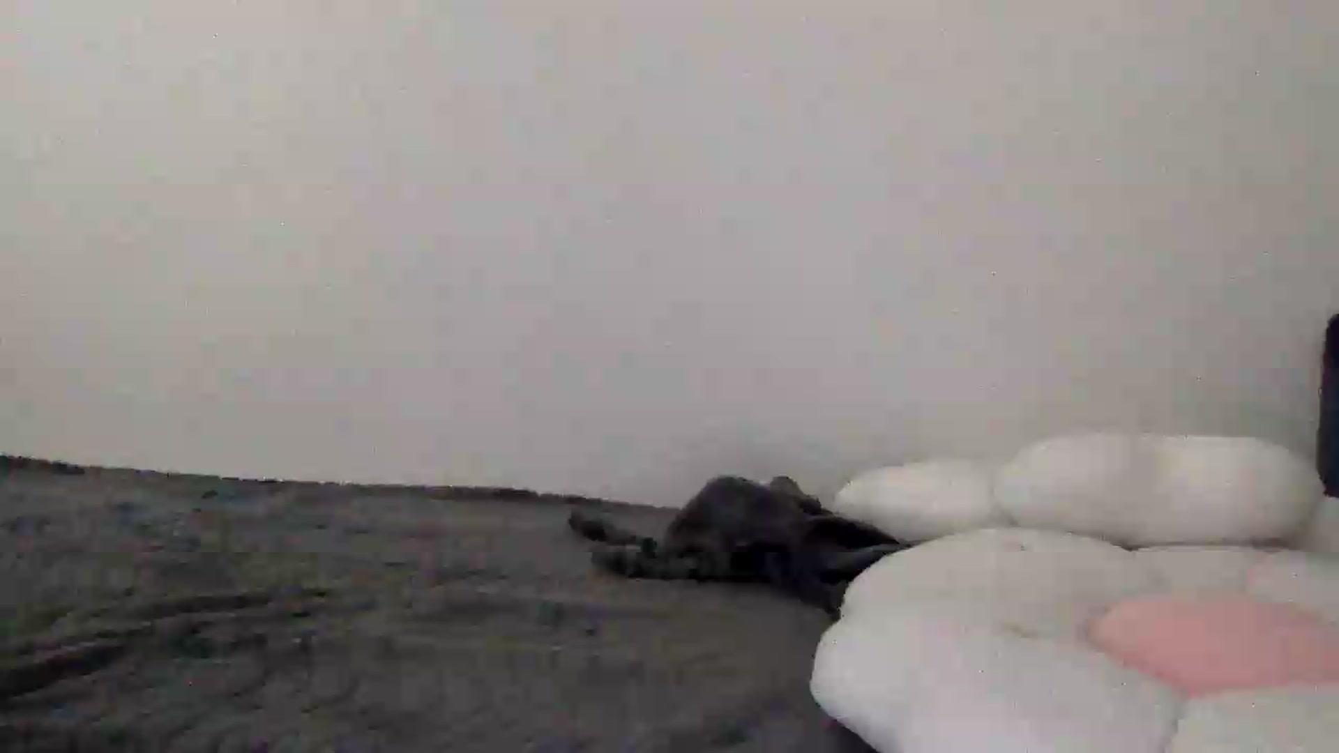 Gallery image thumbnail from JessicaB's myfreecams stream on, 09/07/2026, 15:05 image 3 of 20