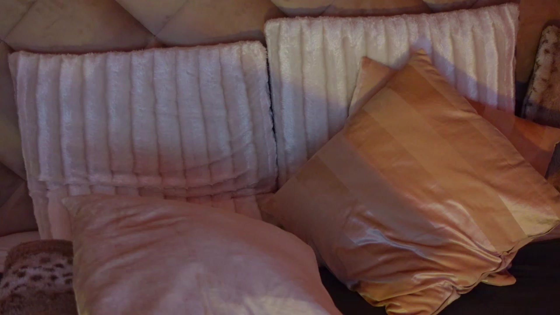 Gallery image thumbnail from JessicaEvy's myfreecams stream on, 05/23/2023, 07:32 image 5 of 20