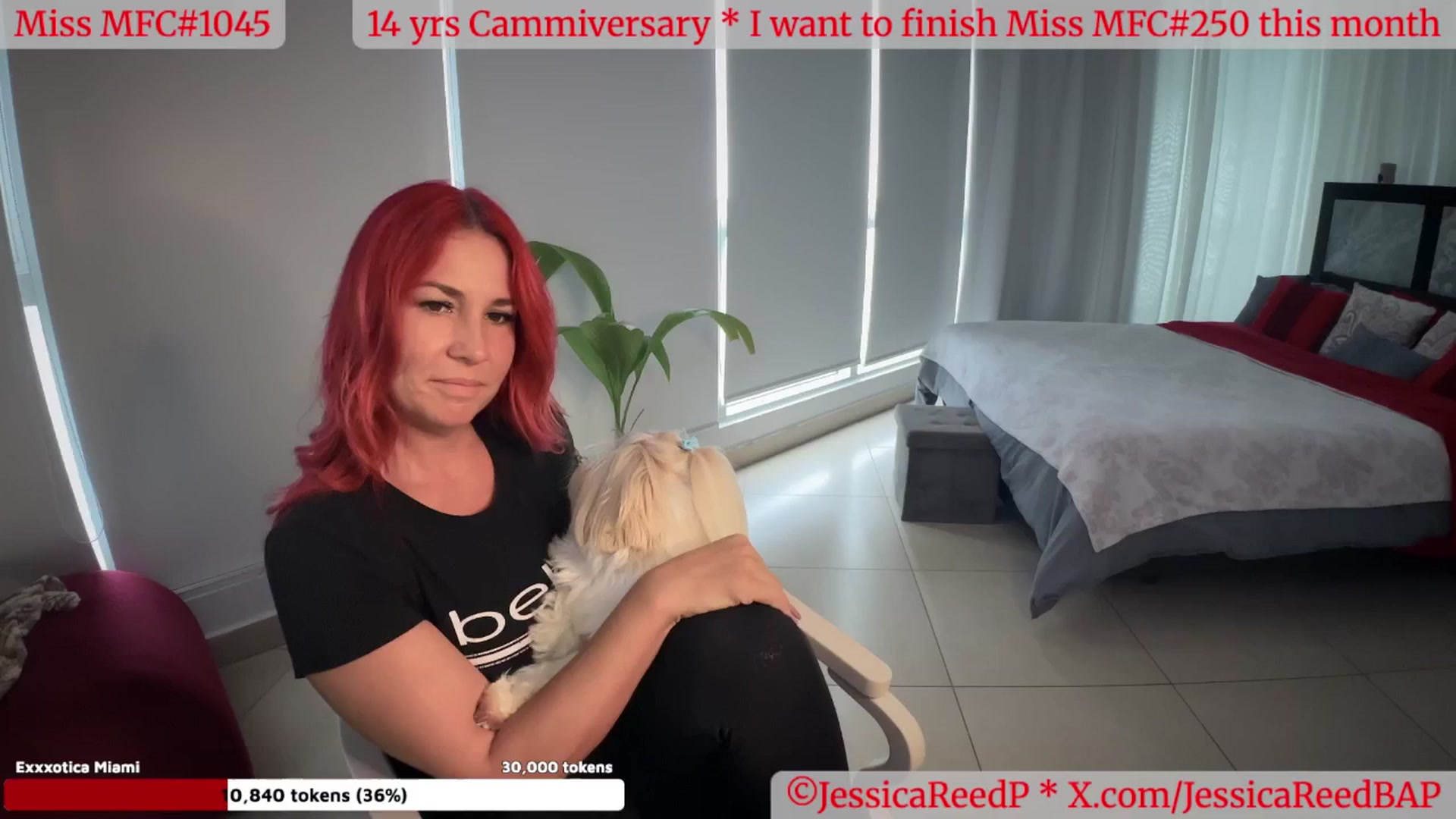 Gallery image thumbnail from JessicaReedP's myfreecams stream on, 05/15/2025, 23:02 image 5 of 20