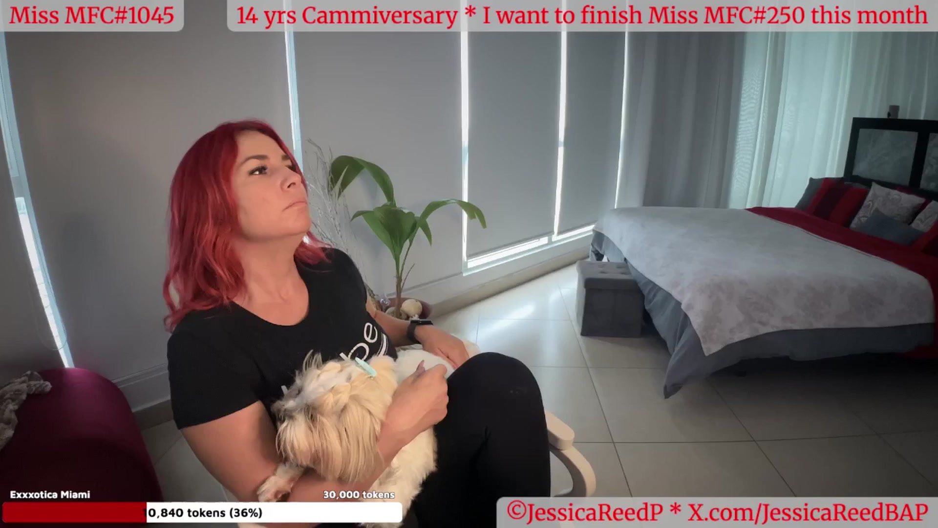 Gallery image thumbnail from JessicaReedP's myfreecams stream on, 05/15/2025, 23:02 image 8 of 20
