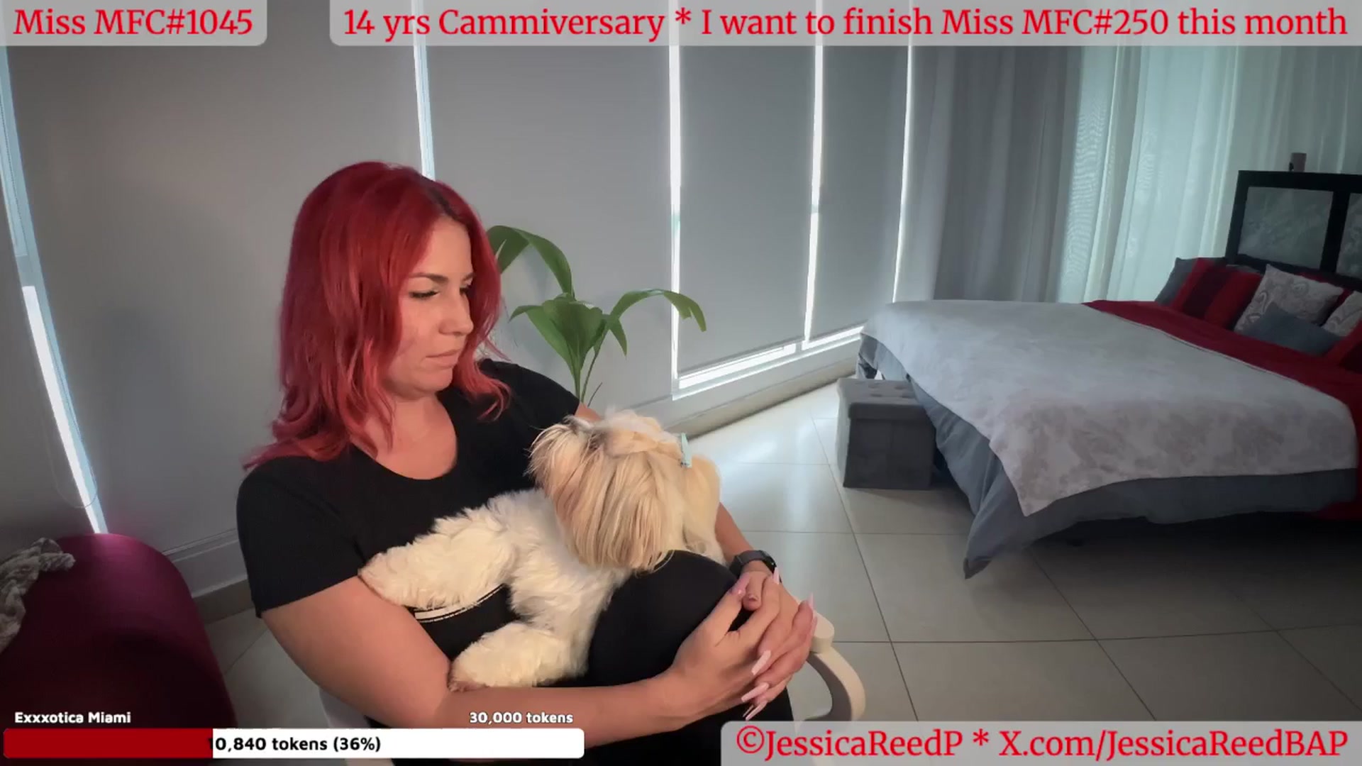 Gallery image thumbnail from JessicaReedP's myfreecams stream on, 05/15/2025, 23:02 image 6 of 20