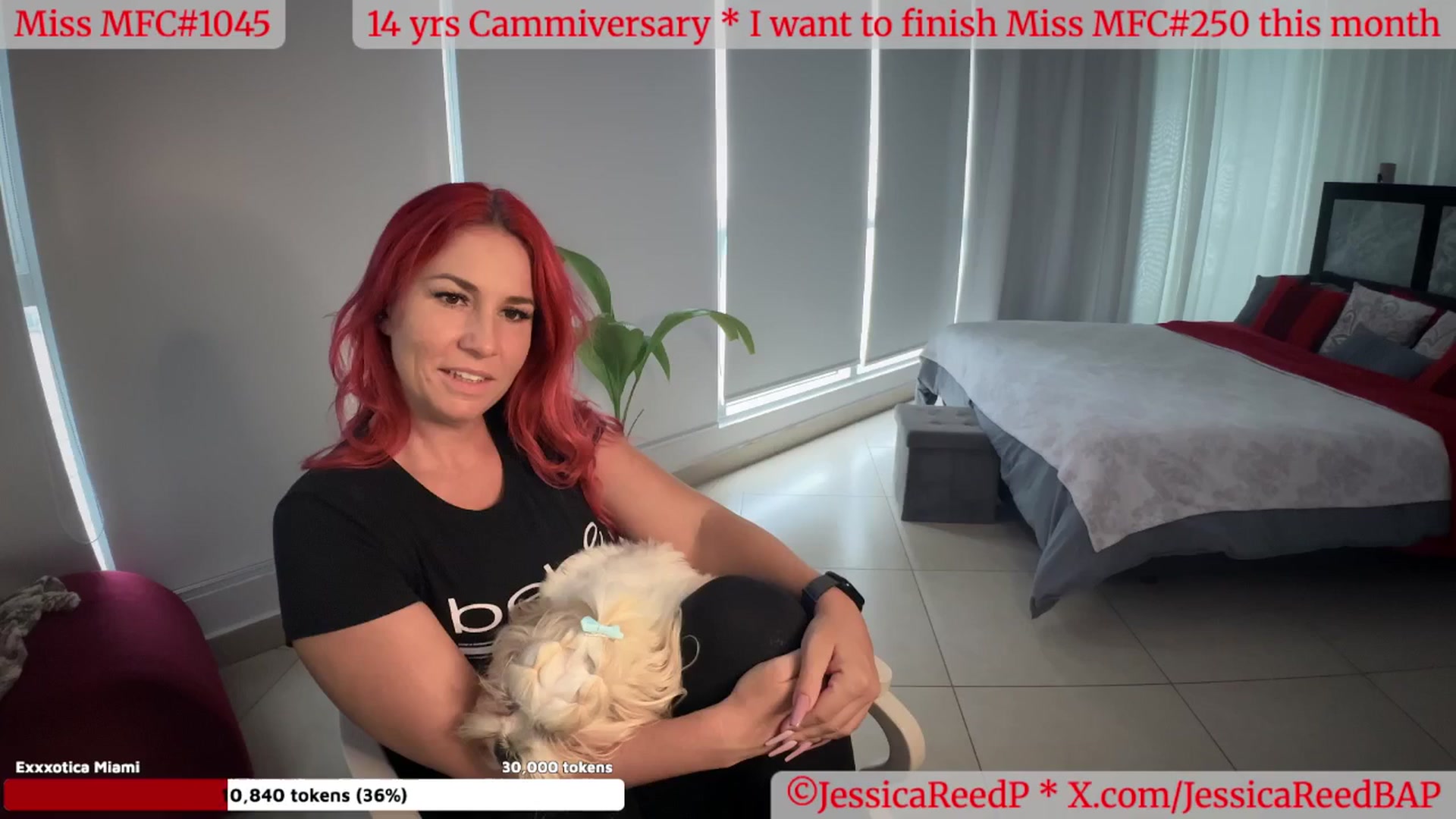 Gallery image thumbnail from JessicaReedP's myfreecams stream on, 05/15/2025, 23:02 image 7 of 20