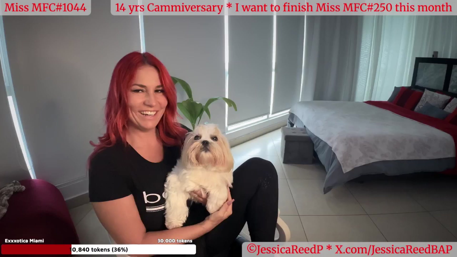 Gallery image thumbnail from JessicaReedP's myfreecams stream on, 05/15/2025, 23:02 image 4 of 20