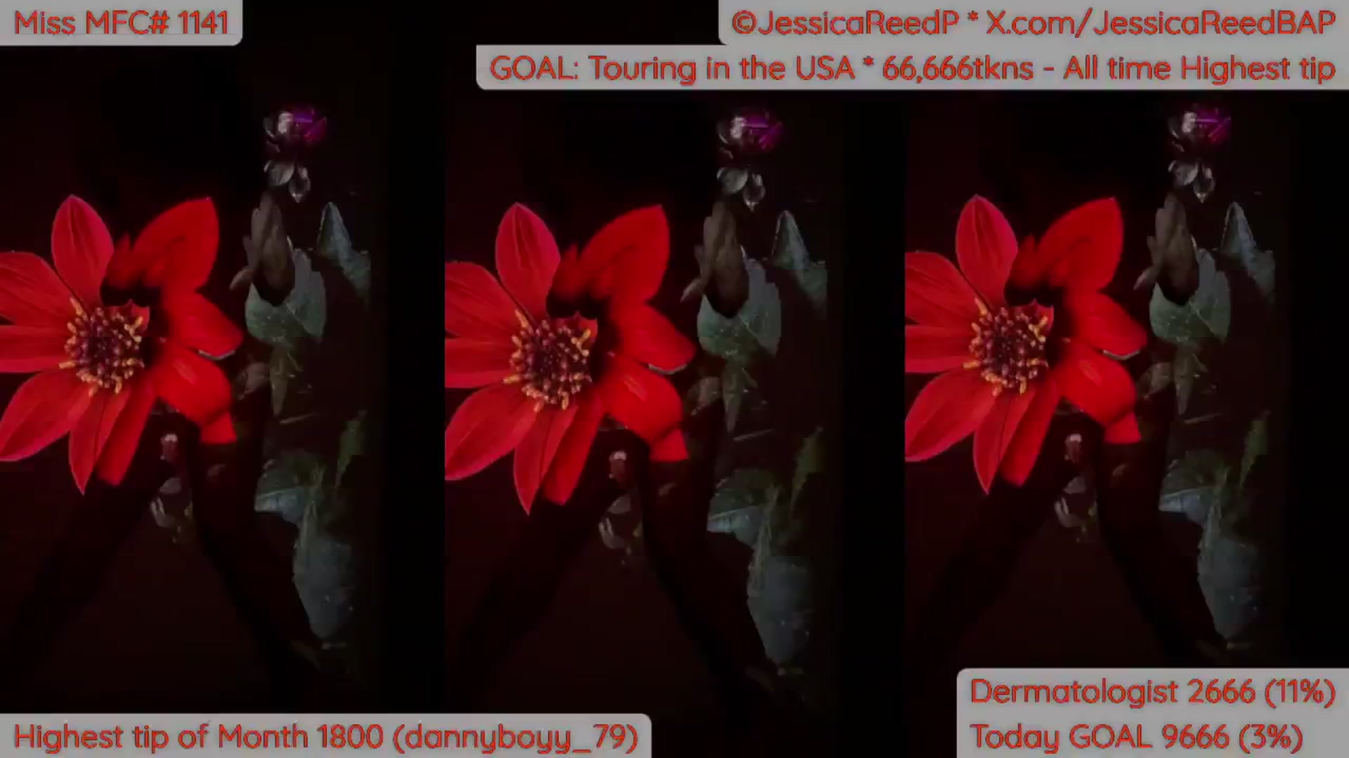 Gallery image thumbnail from JessicaReedP's myfreecams stream on, 04/22/2026, 24:36 image 20 of 20