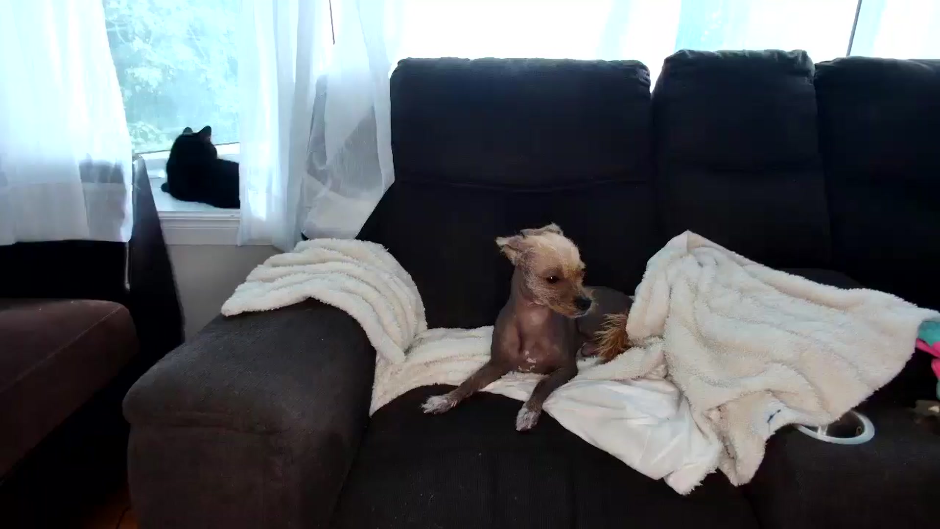 Gallery image thumbnail from JessieBabe's myfreecams stream on, 09/14/2025, 17:55 image 6 of 20