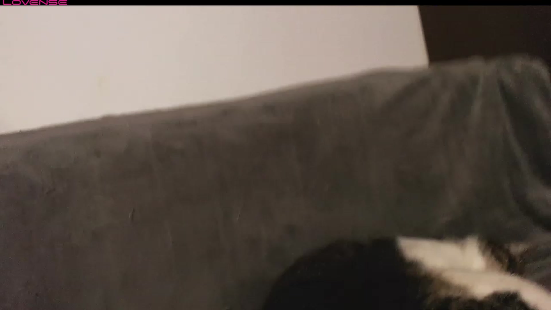 Gallery image thumbnail from Jessilicious_'s myfreecams stream on, 11/22/2022, 01:48 image 13 of 20
