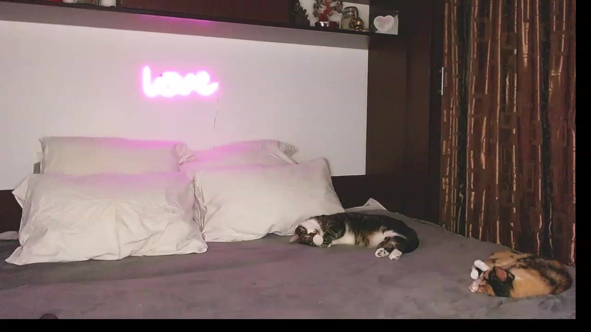 Gallery image thumbnail from Jessilicious_'s myfreecams stream on, 08/30/2023, 02:06 image 9 of 20