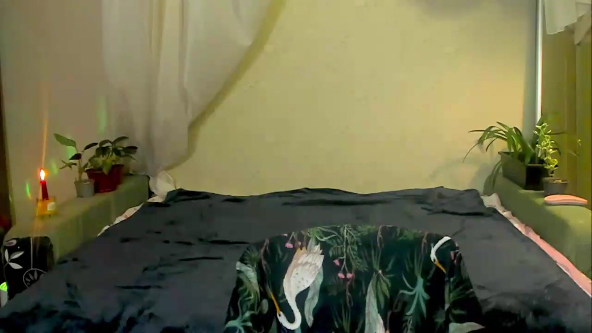 Gallery image thumbnail from Jessy_lil's myfreecams stream on, 06/24/2026, 20:12 image 11 of 20