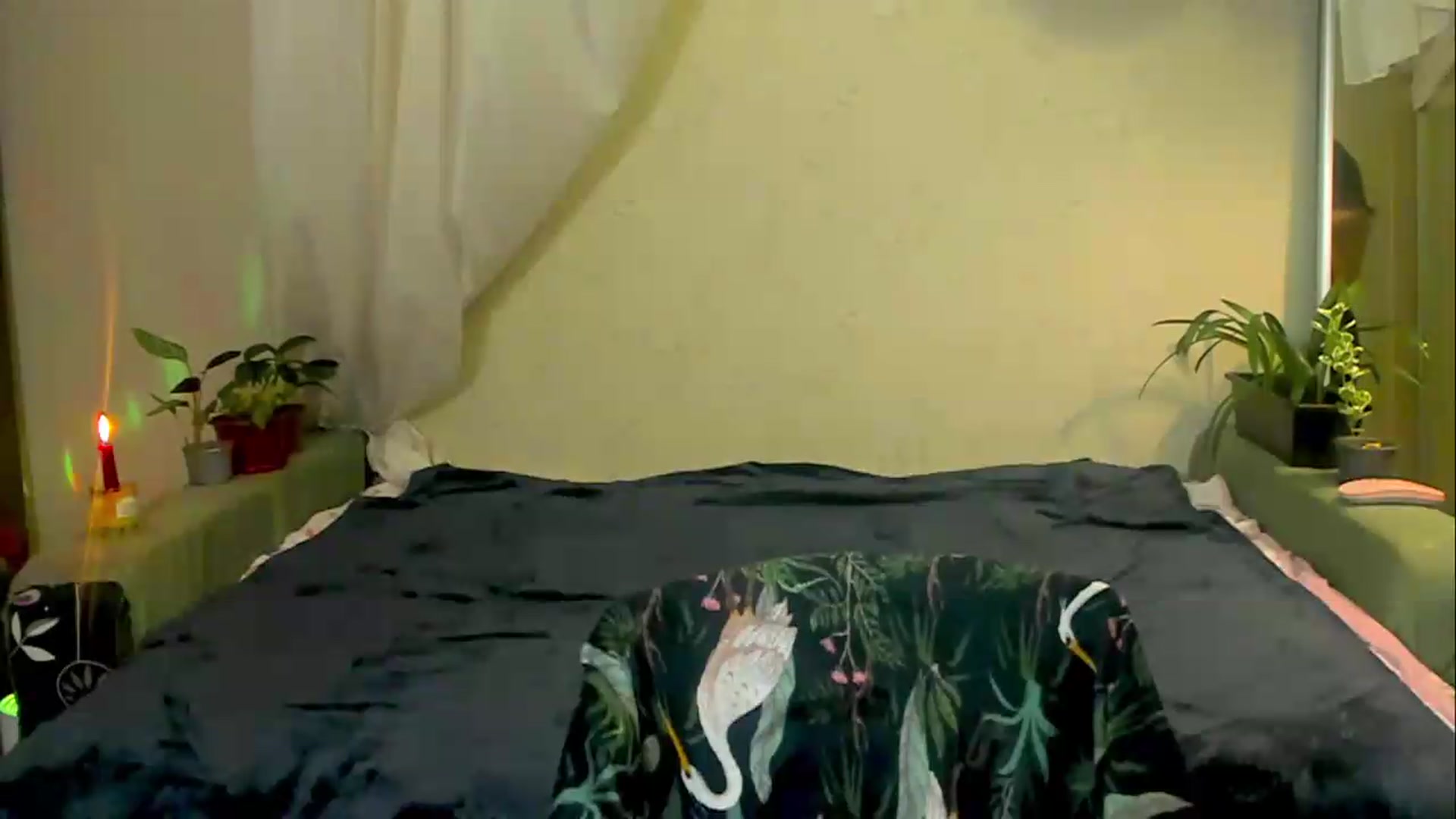 Gallery image thumbnail from Jessy_lil's myfreecams stream on, 06/24/2026, 20:12 image 10 of 20