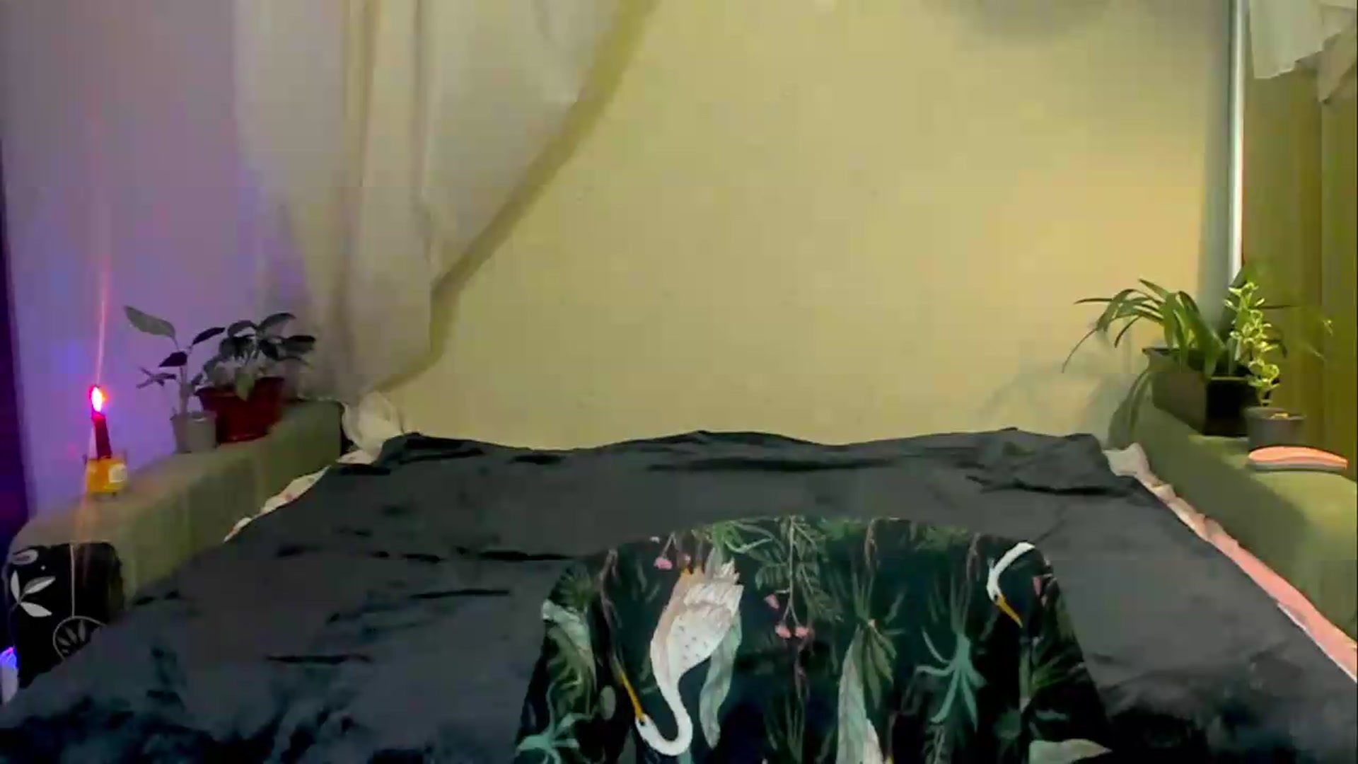 Gallery image thumbnail from Jessy_lil's myfreecams stream on, 06/24/2026, 20:12 image 9 of 20