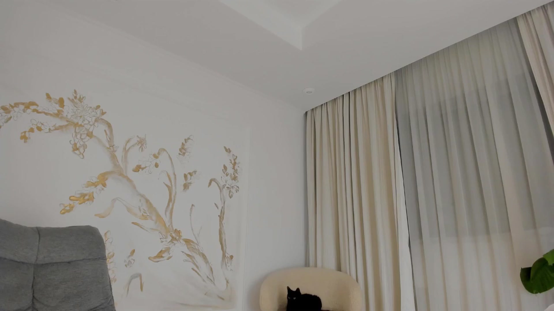 Gallery image thumbnail from Jewelles's myfreecams stream on, 12/01/2025, 21:53 image 2 of 20