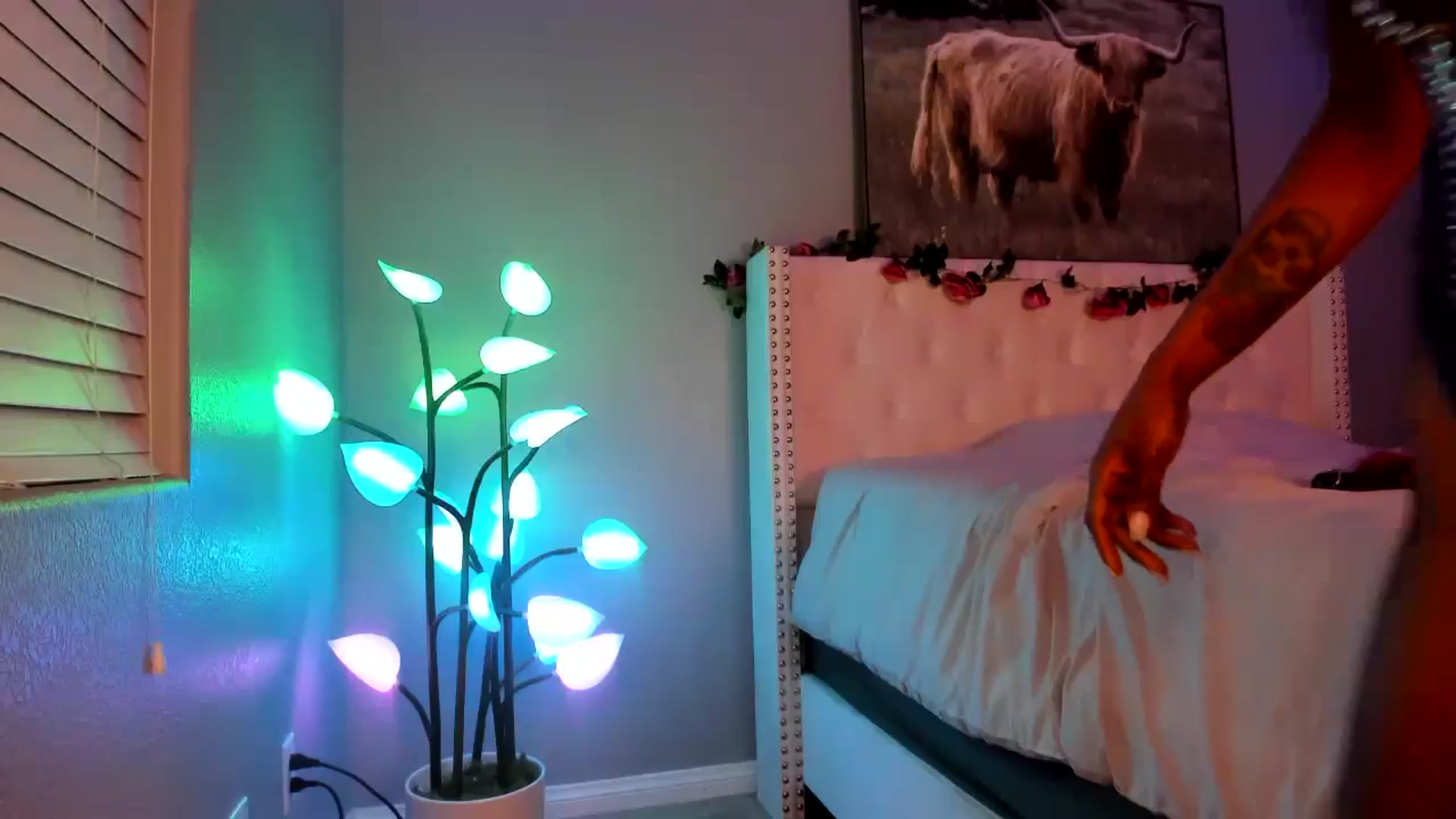 Gallery image thumbnail from JezabelVessir's myfreecams stream on, 05/18/2024, 07:08 image 9 of 20