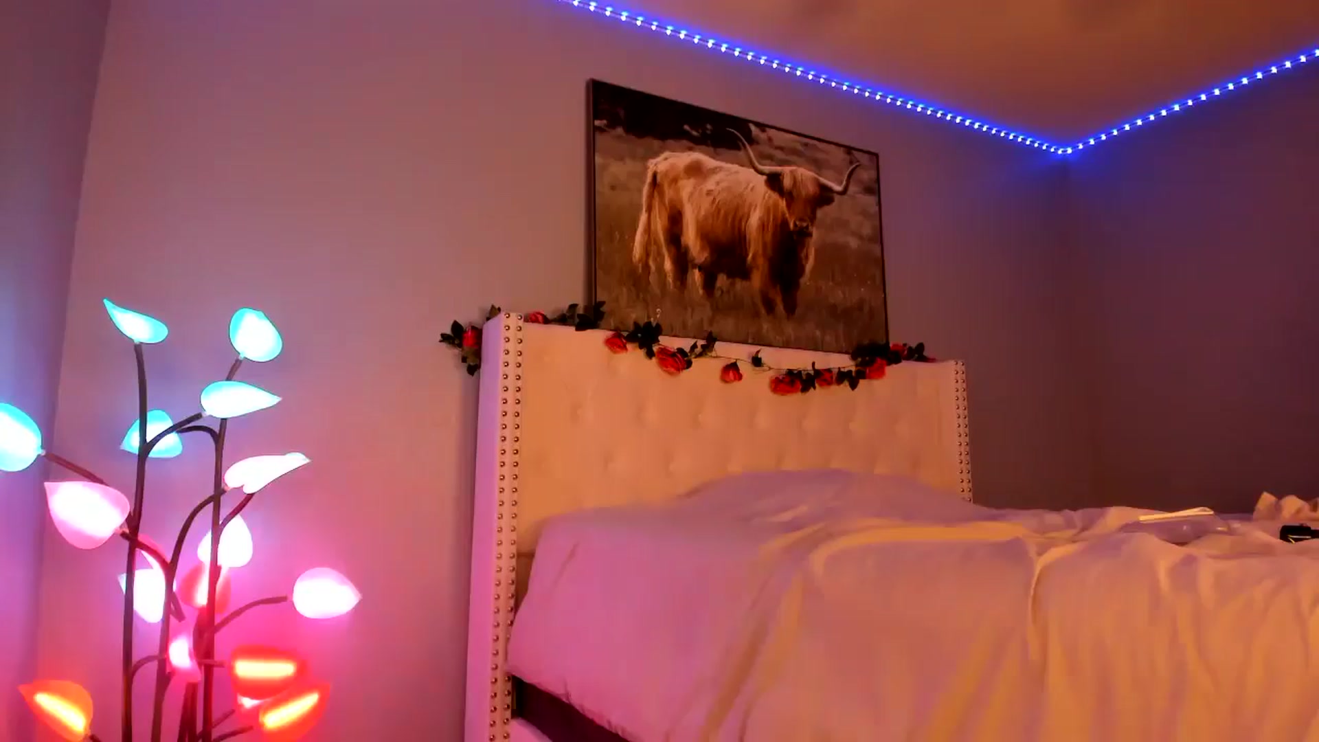 Gallery image thumbnail from JezabelVessir's myfreecams stream on, 05/18/2024, 07:08 image 1 of 20