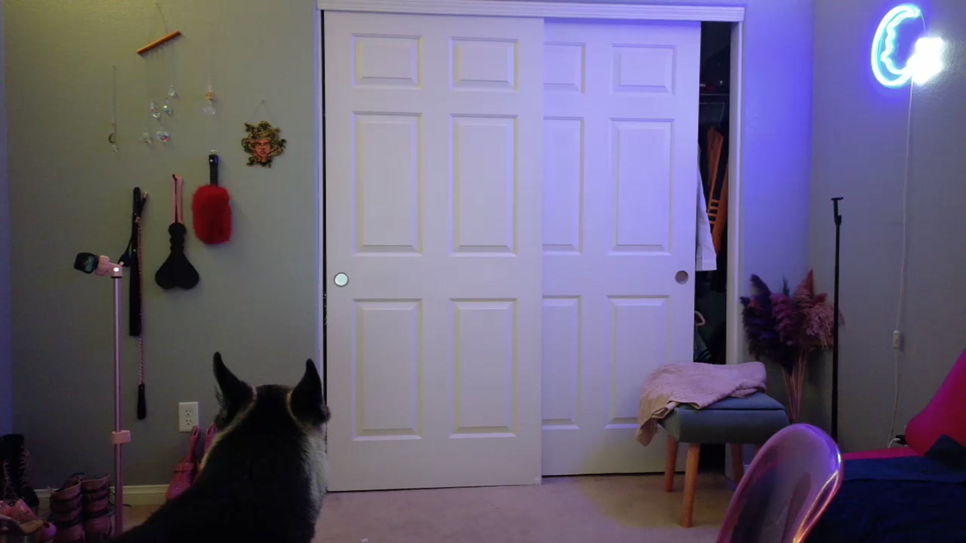 Gallery image thumbnail from JezabelVessir's myfreecams stream on, 05/26/2025, 08:17 image 3 of 20