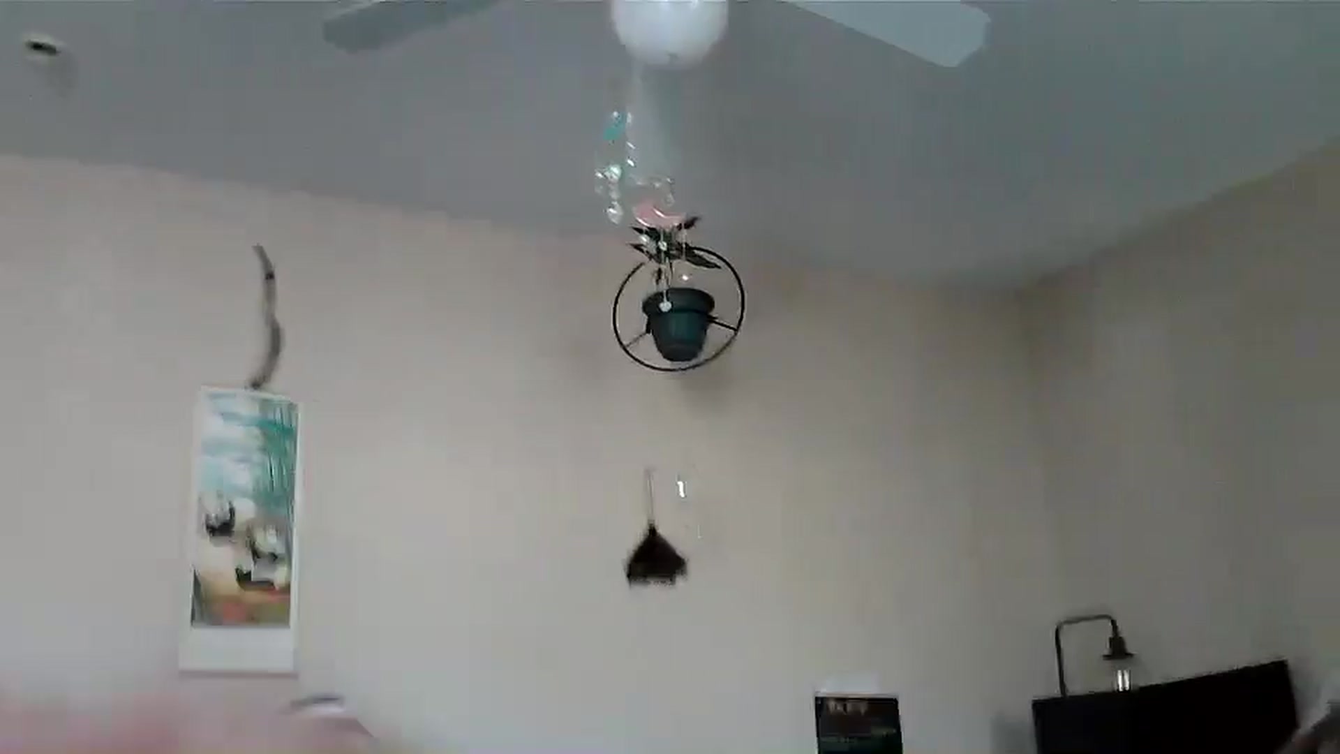 Gallery image thumbnail from JilliaJade's myfreecams stream on, 11/30/2024, 21:03 image 4 of 20