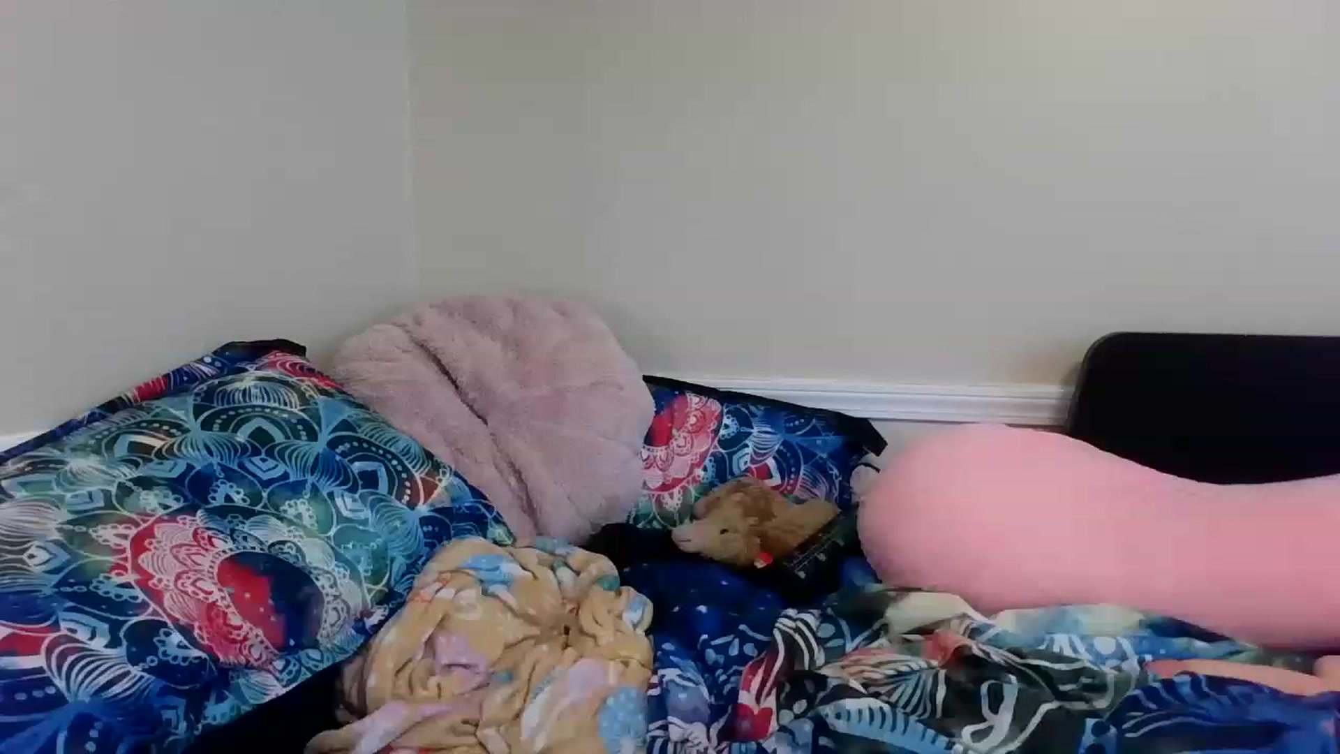 Gallery image thumbnail from Jimjamlee's myfreecams stream on, 08/16/2023, 16:08 image 5 of 20
