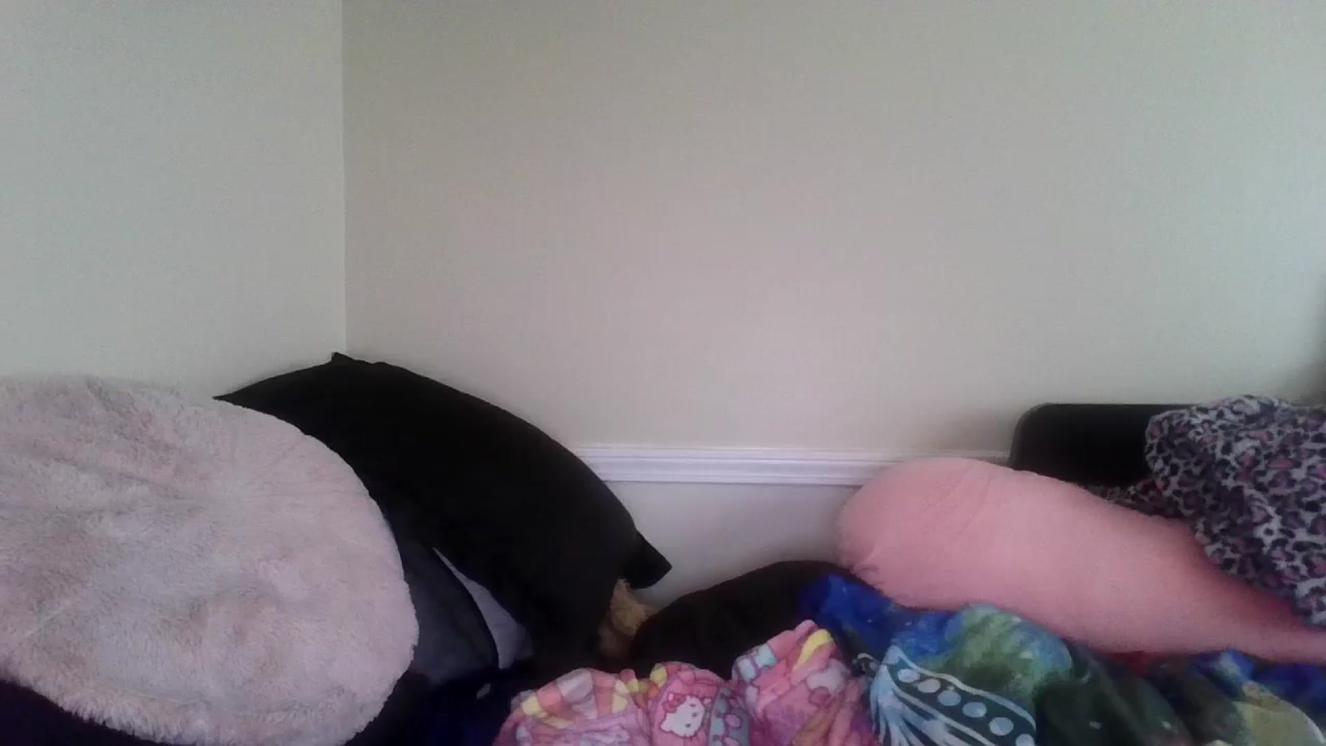 Gallery image thumbnail from Jimjamlee's myfreecams stream on, 08/20/2023, 13:14 image 10 of 20