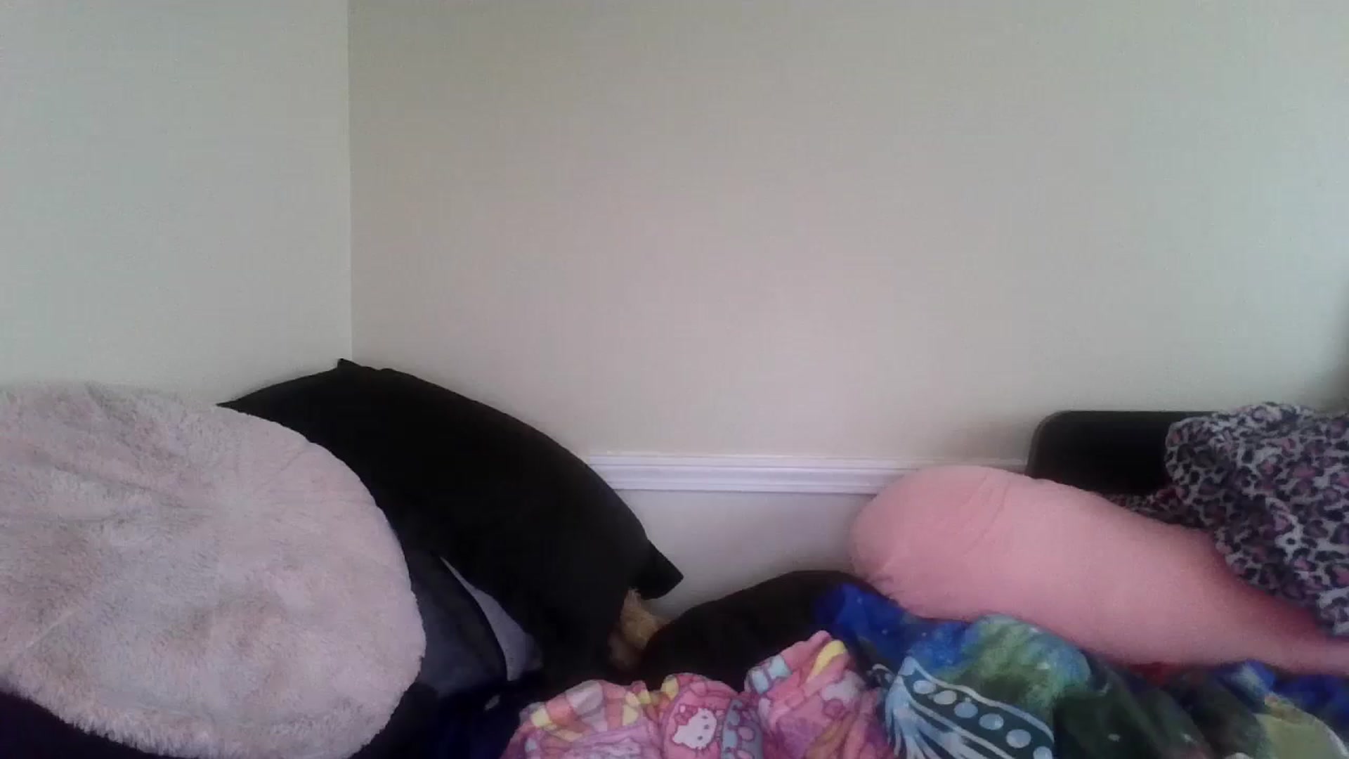 Gallery image thumbnail from Jimjamlee's myfreecams stream on, 08/20/2023, 13:14 image 11 of 20