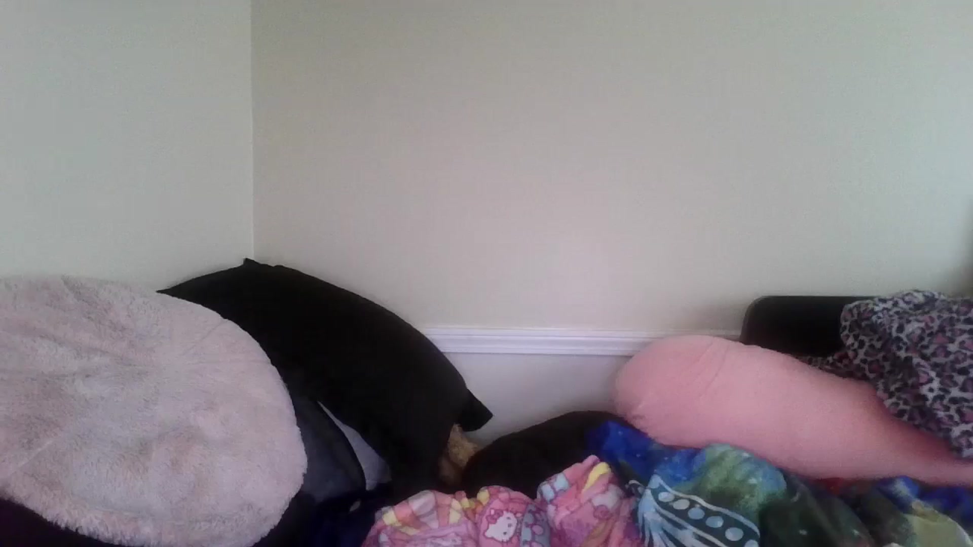 Gallery image thumbnail from Jimjamlee's myfreecams stream on, 08/20/2023, 13:14 image 7 of 20