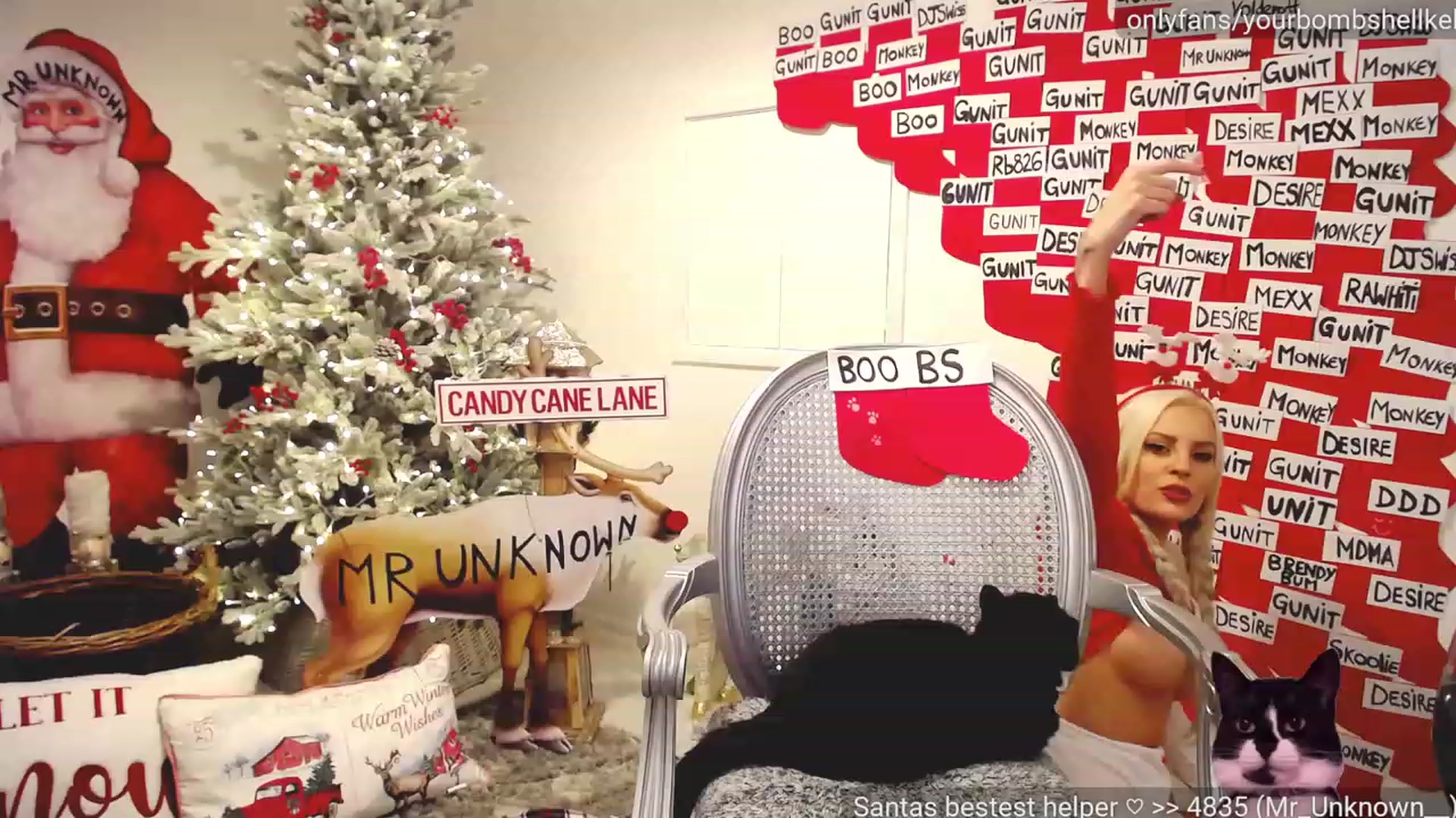 Gallery image thumbnail from JingleKells's myfreecams stream on, 12/09/2022, 24:05 image 11 of 20