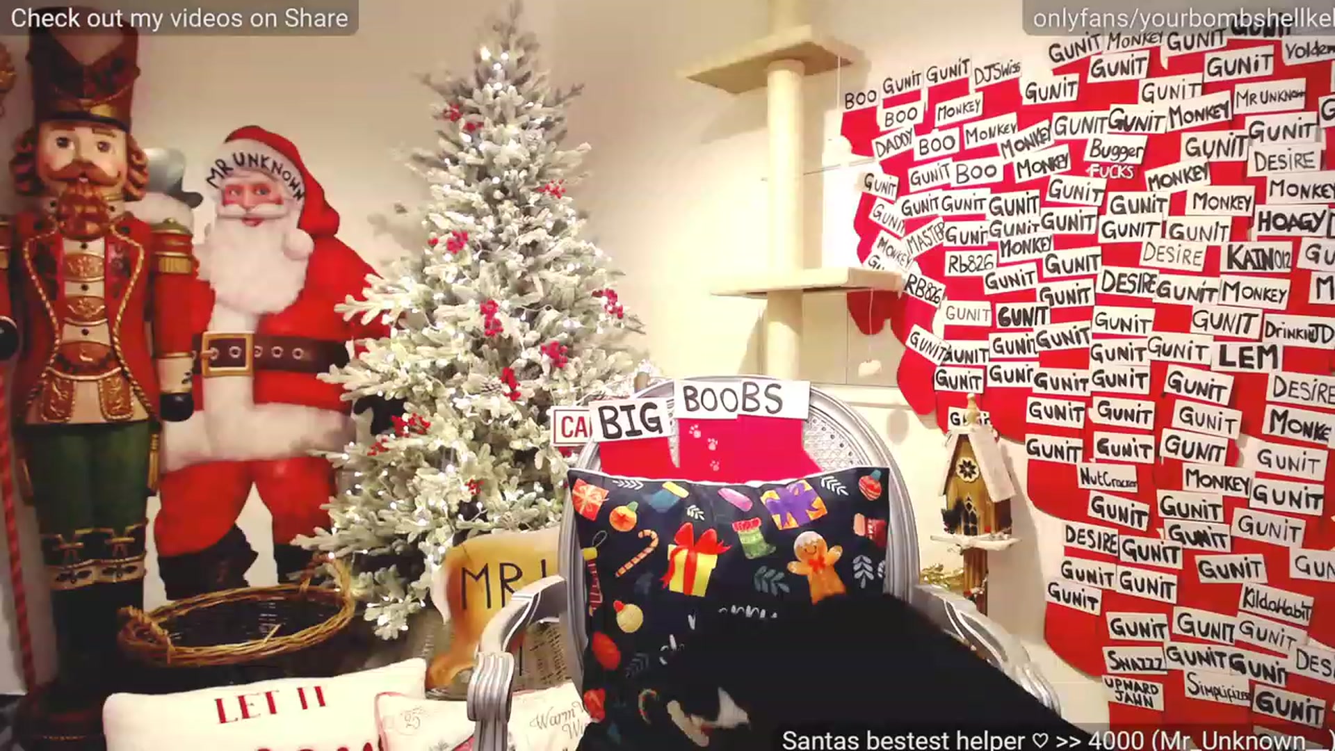 Gallery image thumbnail from JingleKells's myfreecams stream on, 12/30/2022, 01:14 image 4 of 20