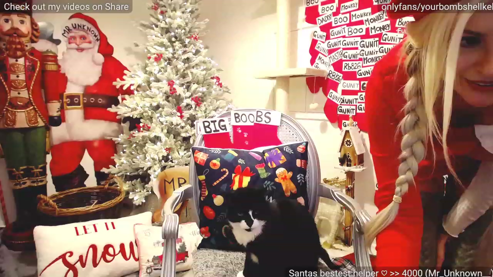 Gallery image thumbnail from JingleKells's myfreecams stream on, 12/30/2022, 01:14 image 12 of 20
