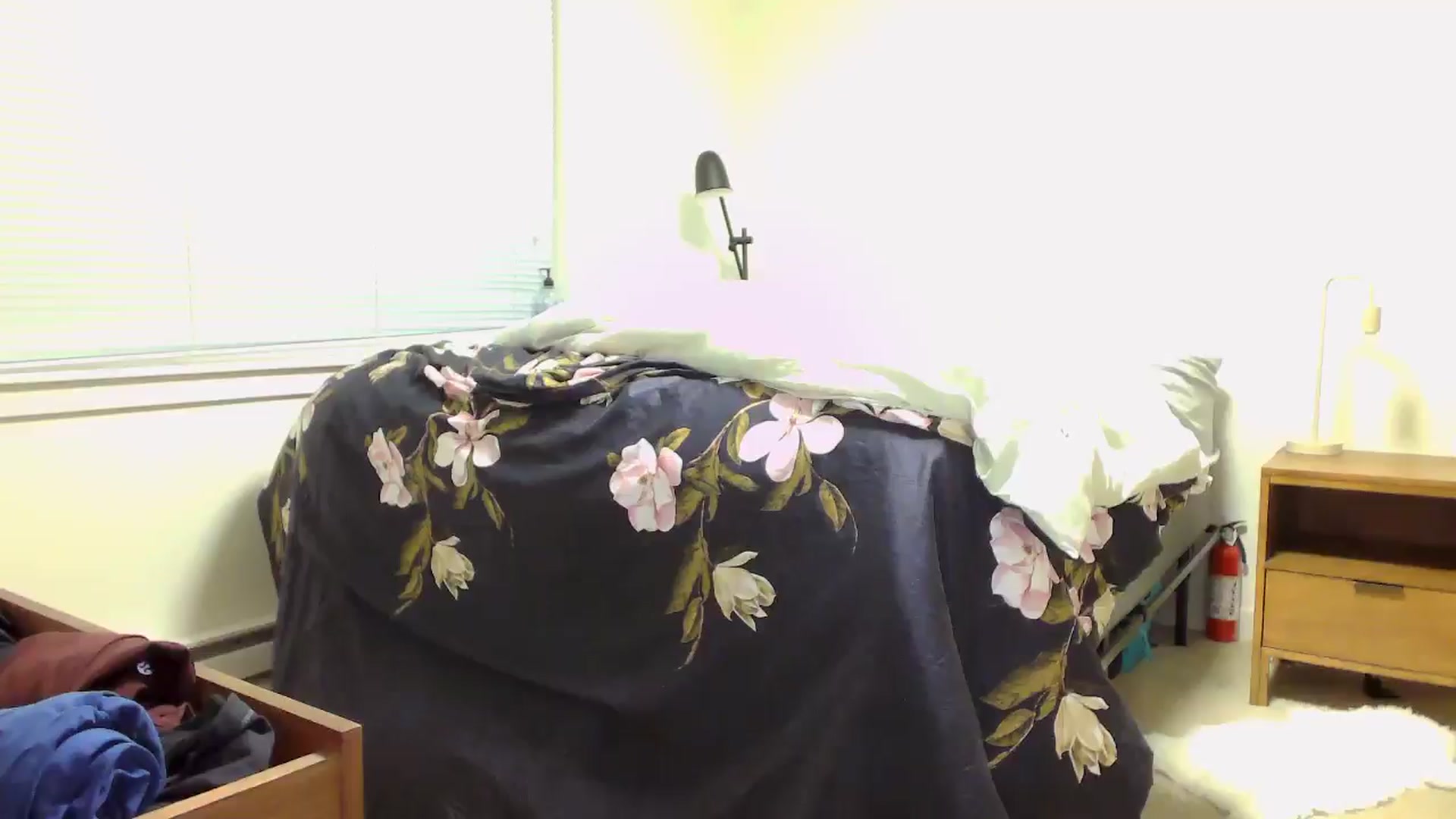 Gallery image thumbnail from JinnaWhite's myfreecams stream on, 06/10/2024, 07:33 image 17 of 20